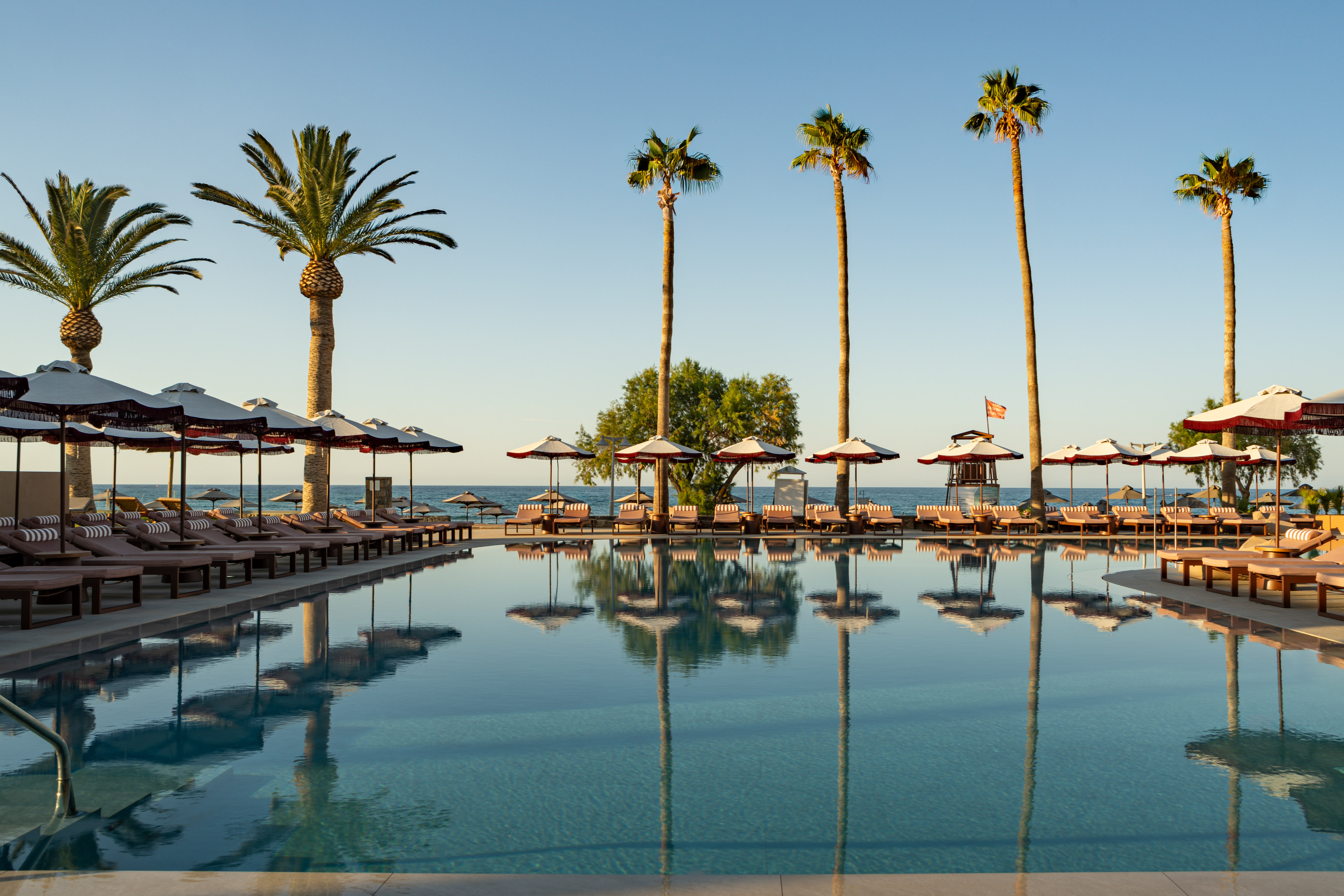 Resort pool and beach with palm trees, lounge chairs, and ocean views.
