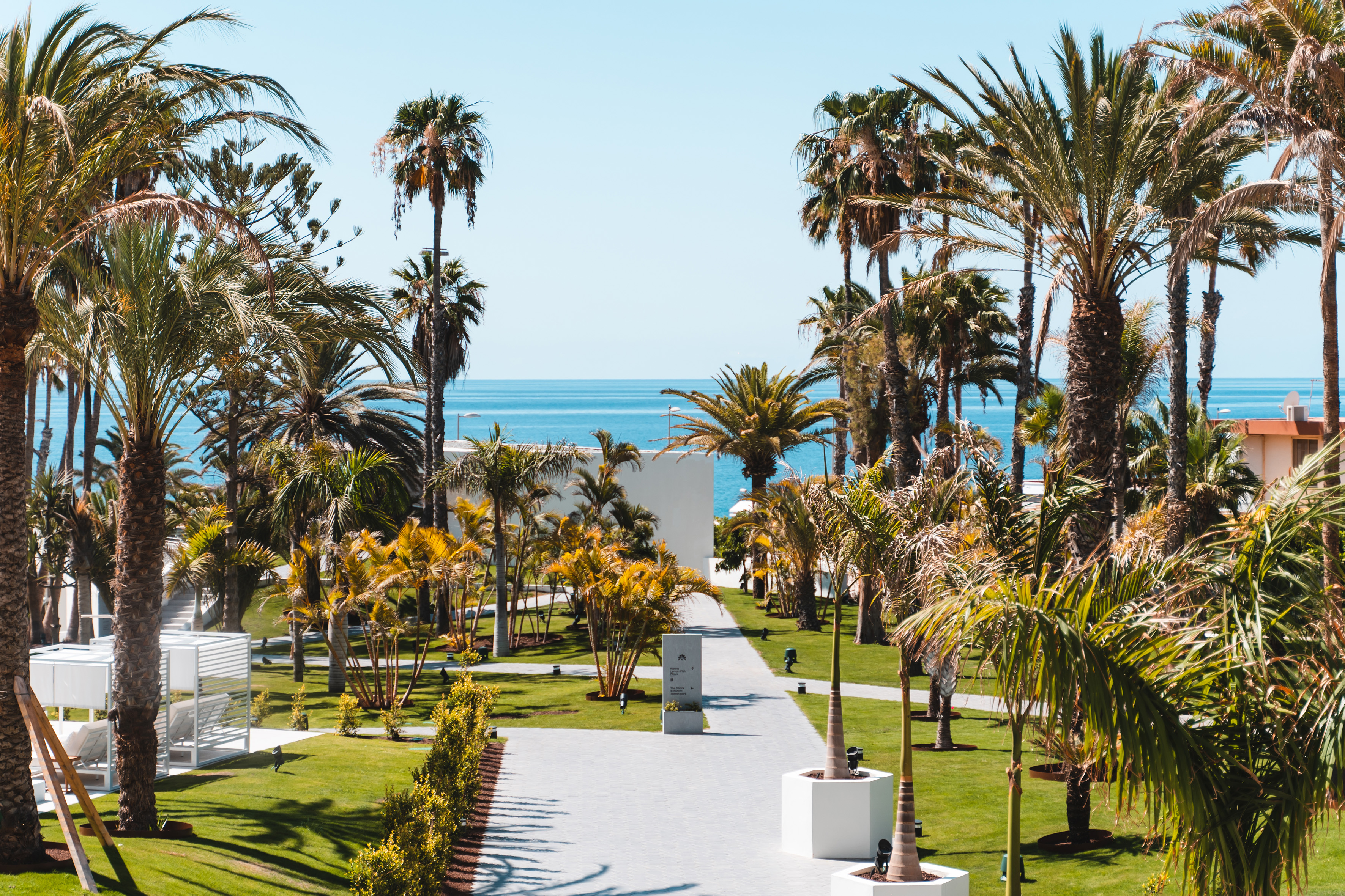 Paved path through tropical resort gardens with palm trees and ocean view.