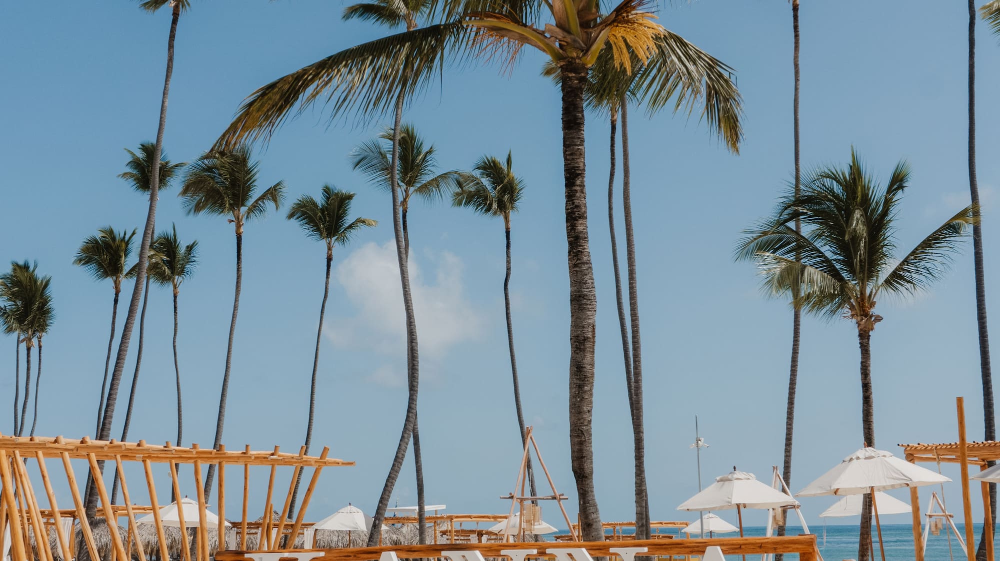 a beach with palm trees and a beach chair