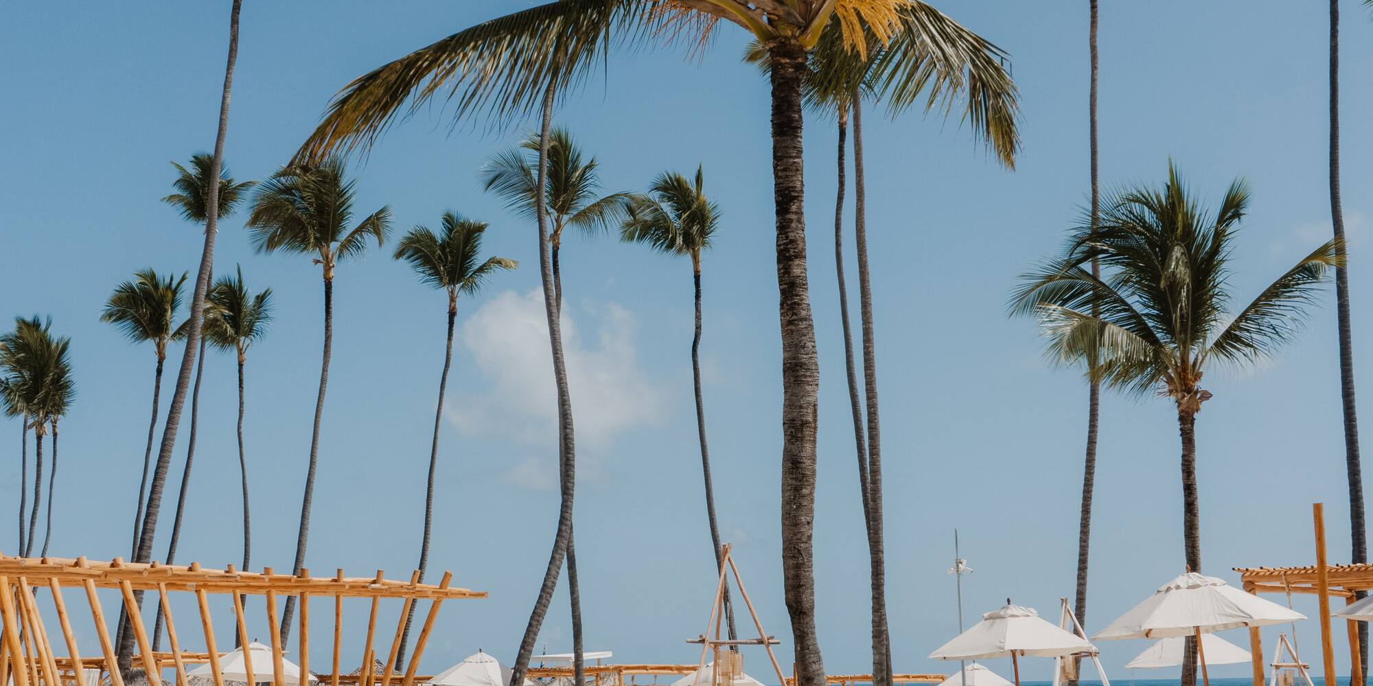 a beach with palm trees and a beach chair