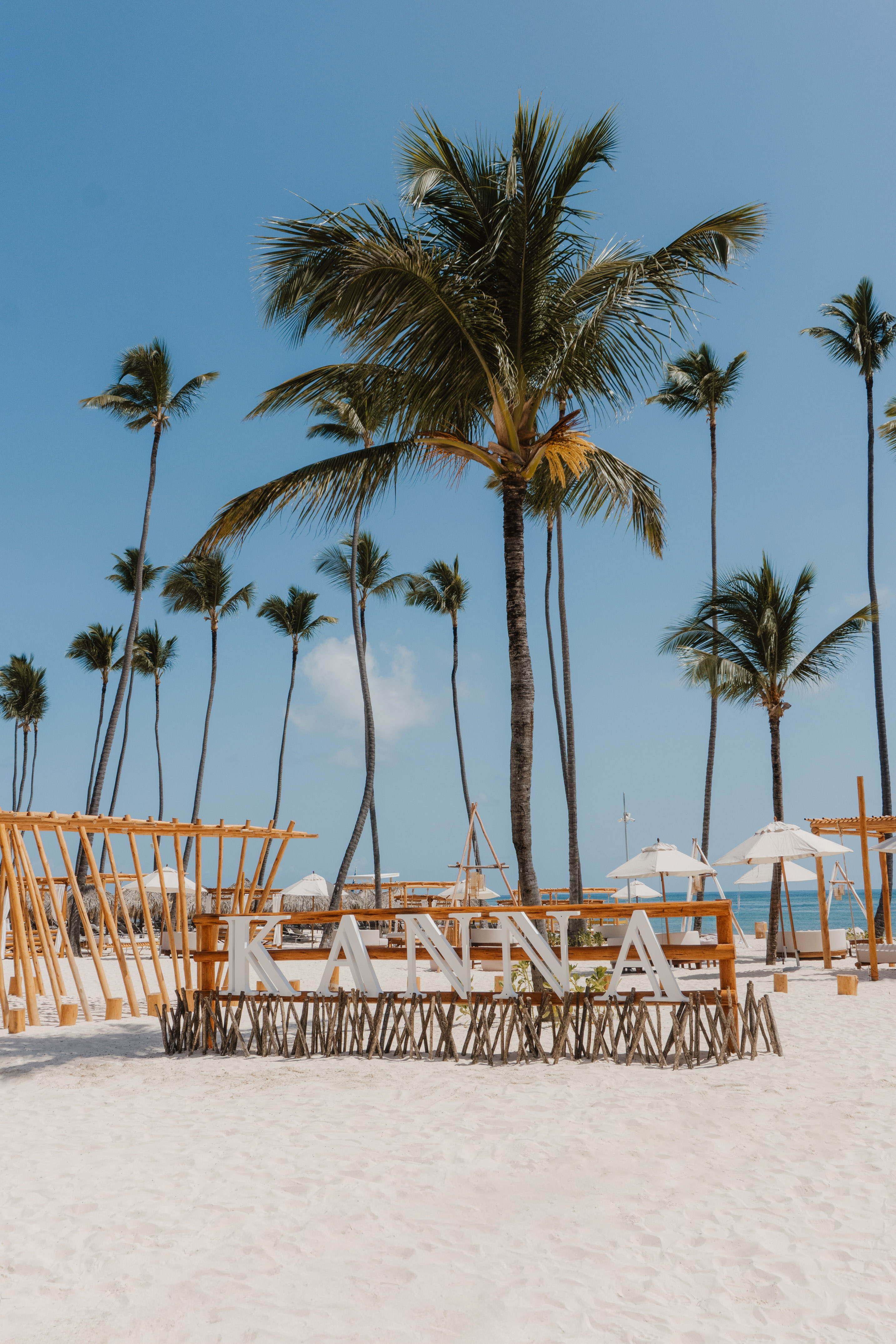a beach with palm trees and a beach chair