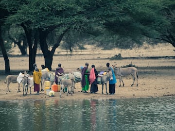 a group of people standing next to donkeys and water