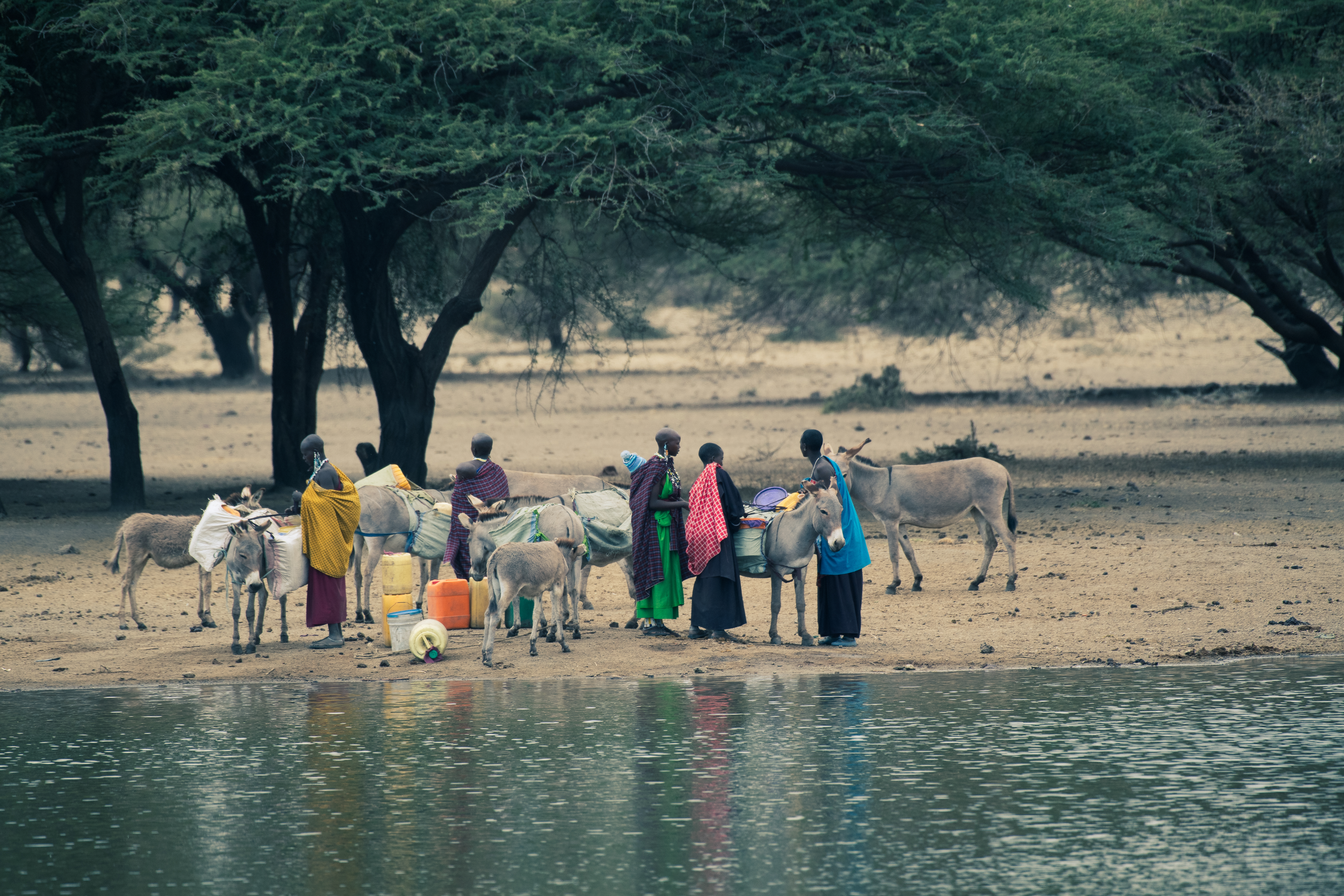 a group of people standing next to donkeys and water