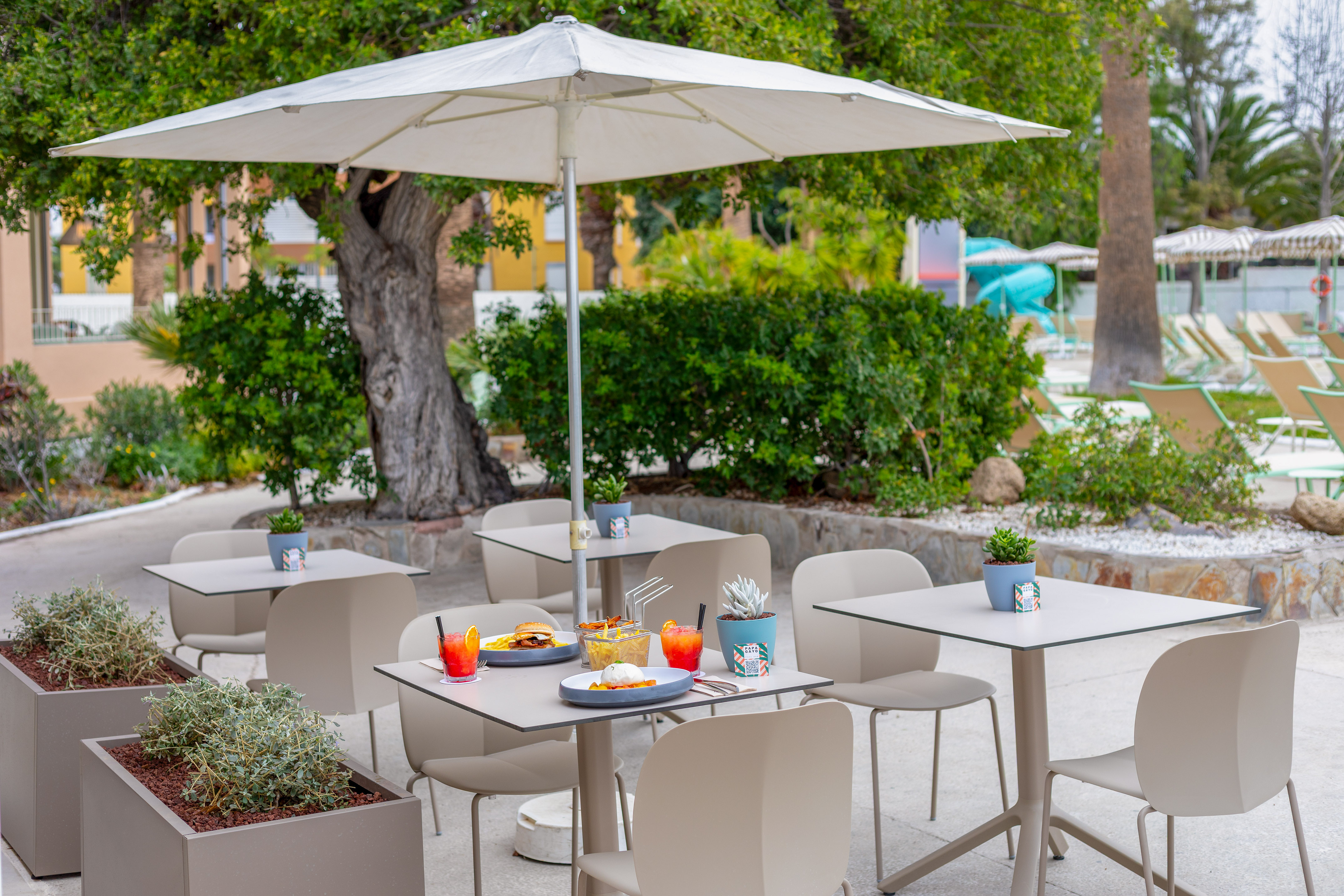 Outdoor resort dining area with shaded tables, meals, and cocktails.