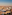a city with many buildings