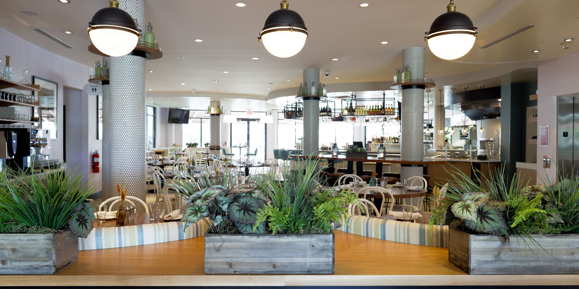 a room with a bar and a counter with plants and lights