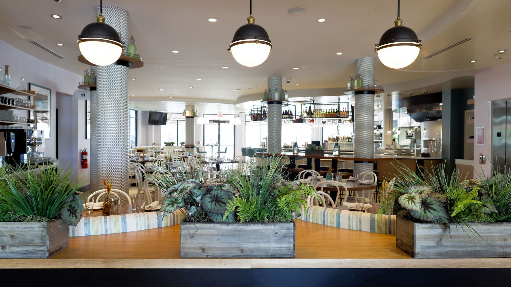 a room with a bar and a counter with plants and lights