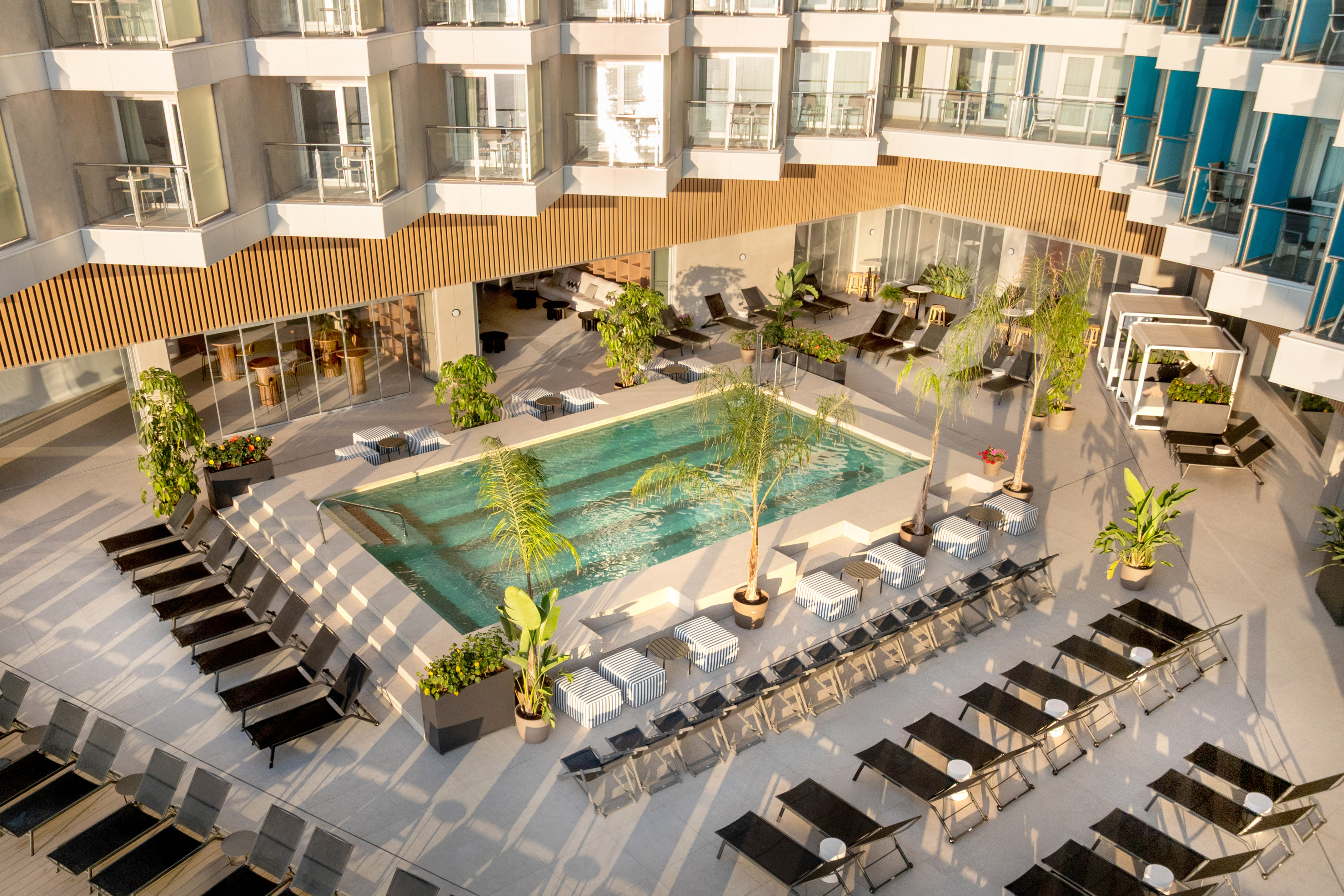 Modern hotel pool courtyard with numerous lounge chairs and palm trees.