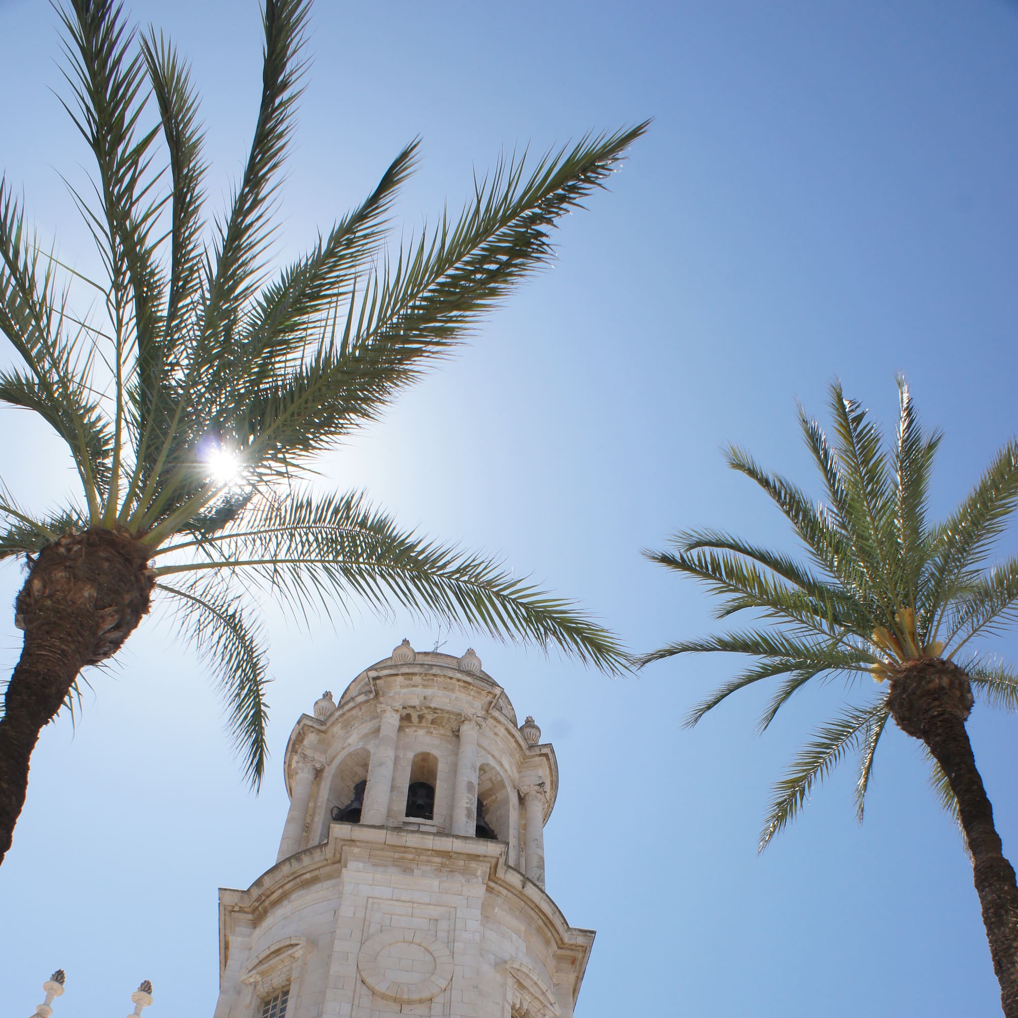 a building with palm trees