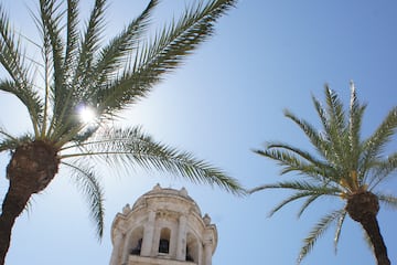 a building with palm trees