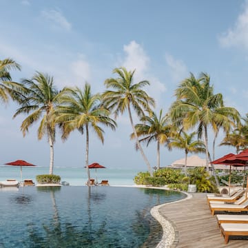 a pool with chairs and umbrellas by the water
