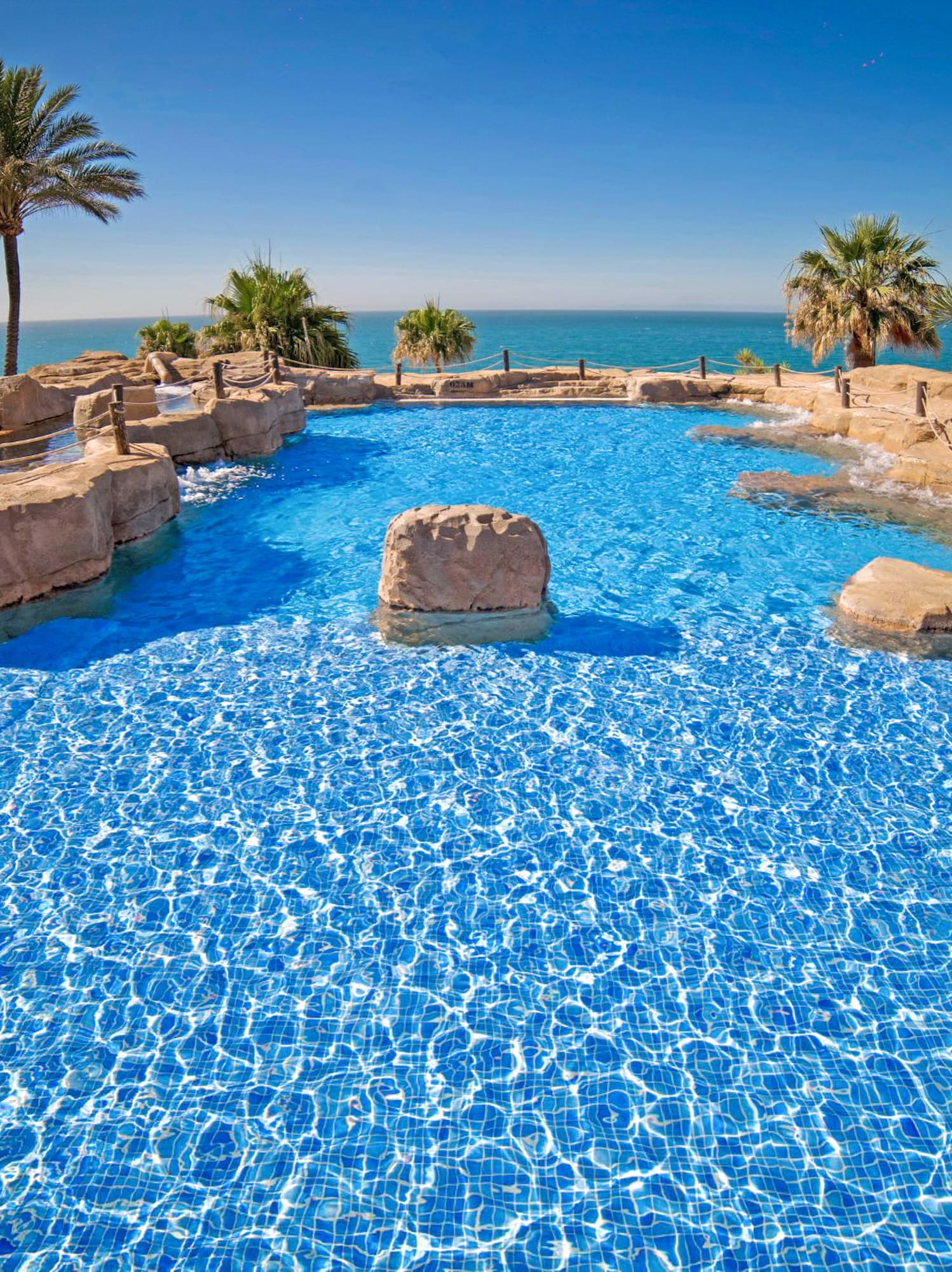 a pool with rocks and palm trees