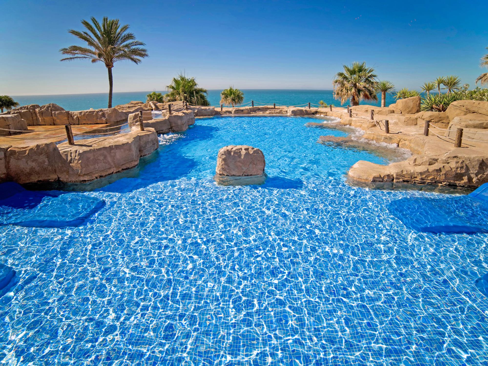 a pool with rocks and palm trees