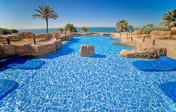 a pool with rocks and palm trees