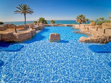 a pool with rocks and palm trees