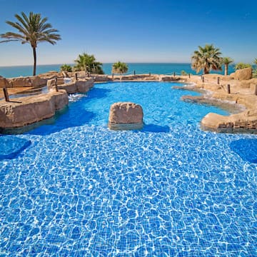 a pool with rocks and palm trees