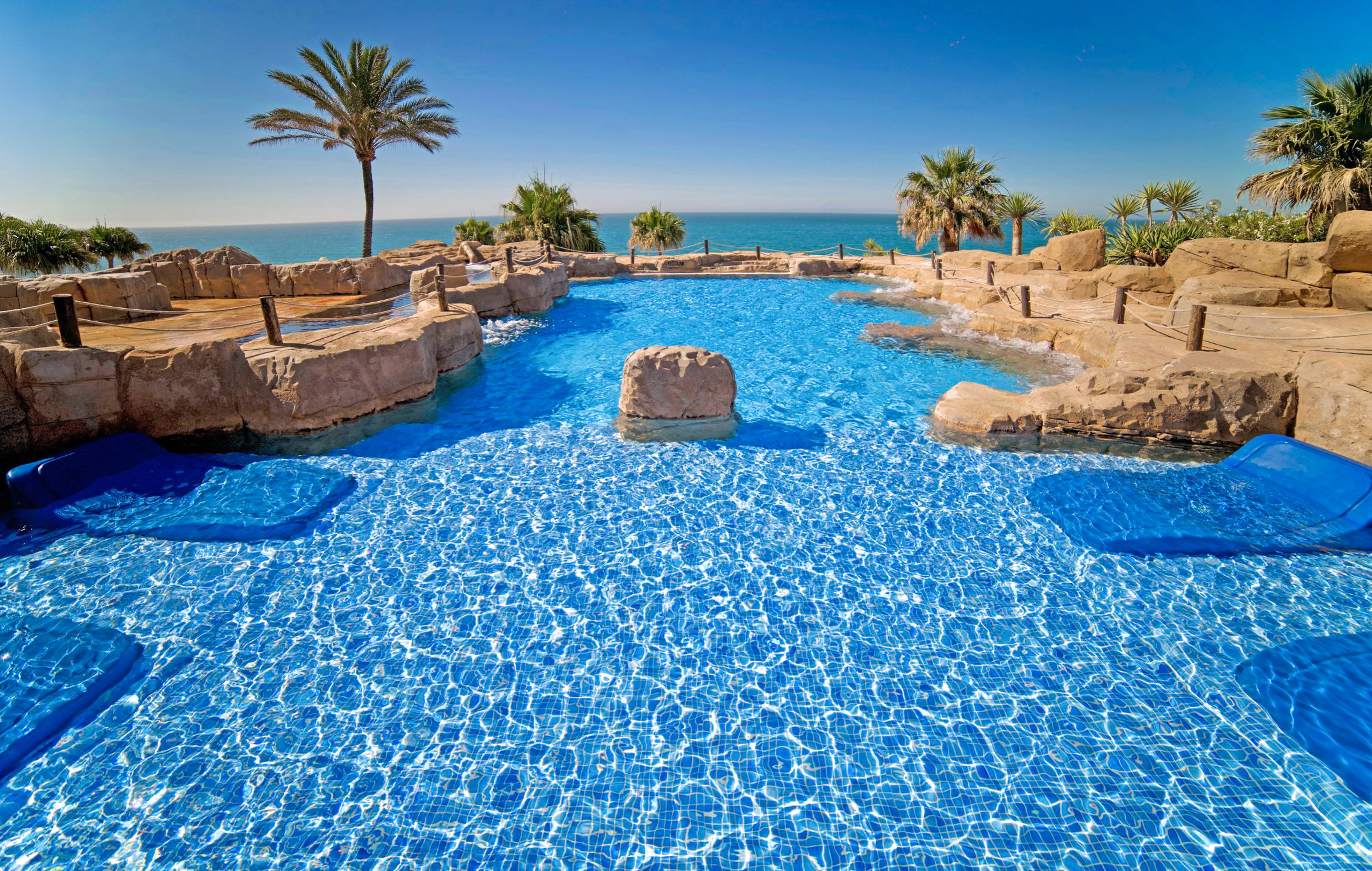 a pool with rocks and palm trees