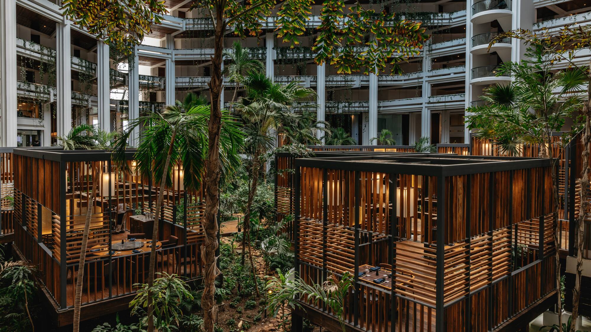 Hotel atrium with modern elevated wooden dining pods and tropical garden.