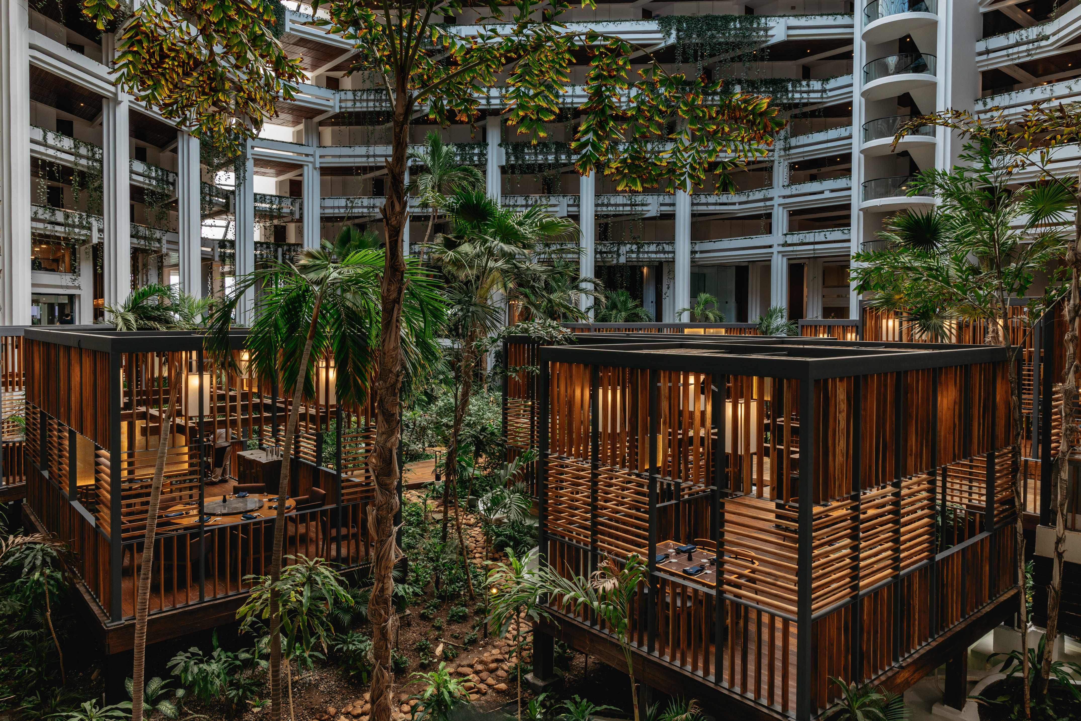 Hotel atrium with modern elevated wooden dining pods and tropical garden.