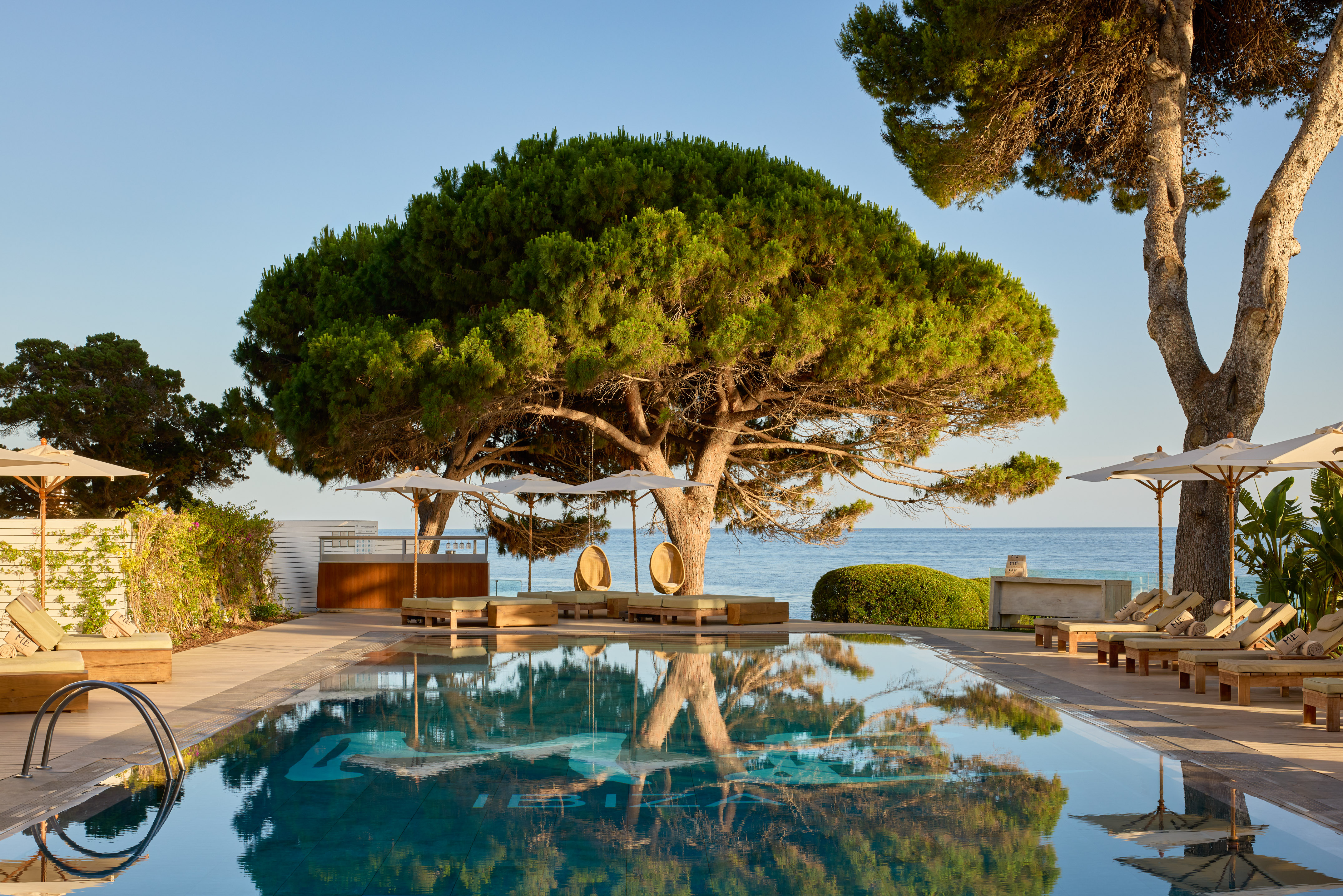 Beachfront resort pool, large pine trees, ocean, sunbeds, and parasols.