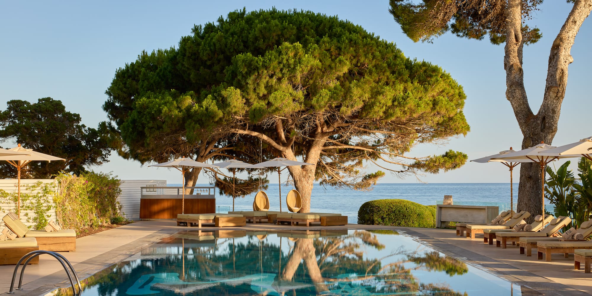 Luxury resort swimming pool, pine trees, ocean view, sun loungers.