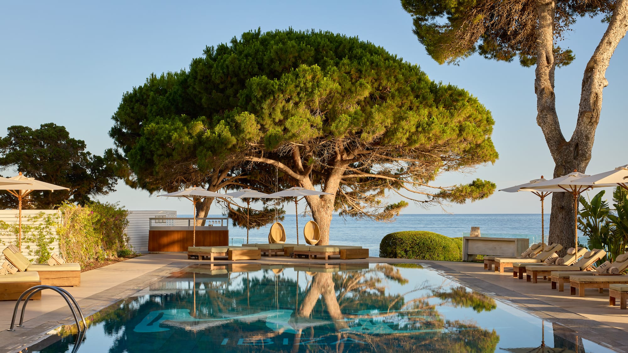 Beachfront resort pool, large pine trees, ocean, sunbeds, and parasols.