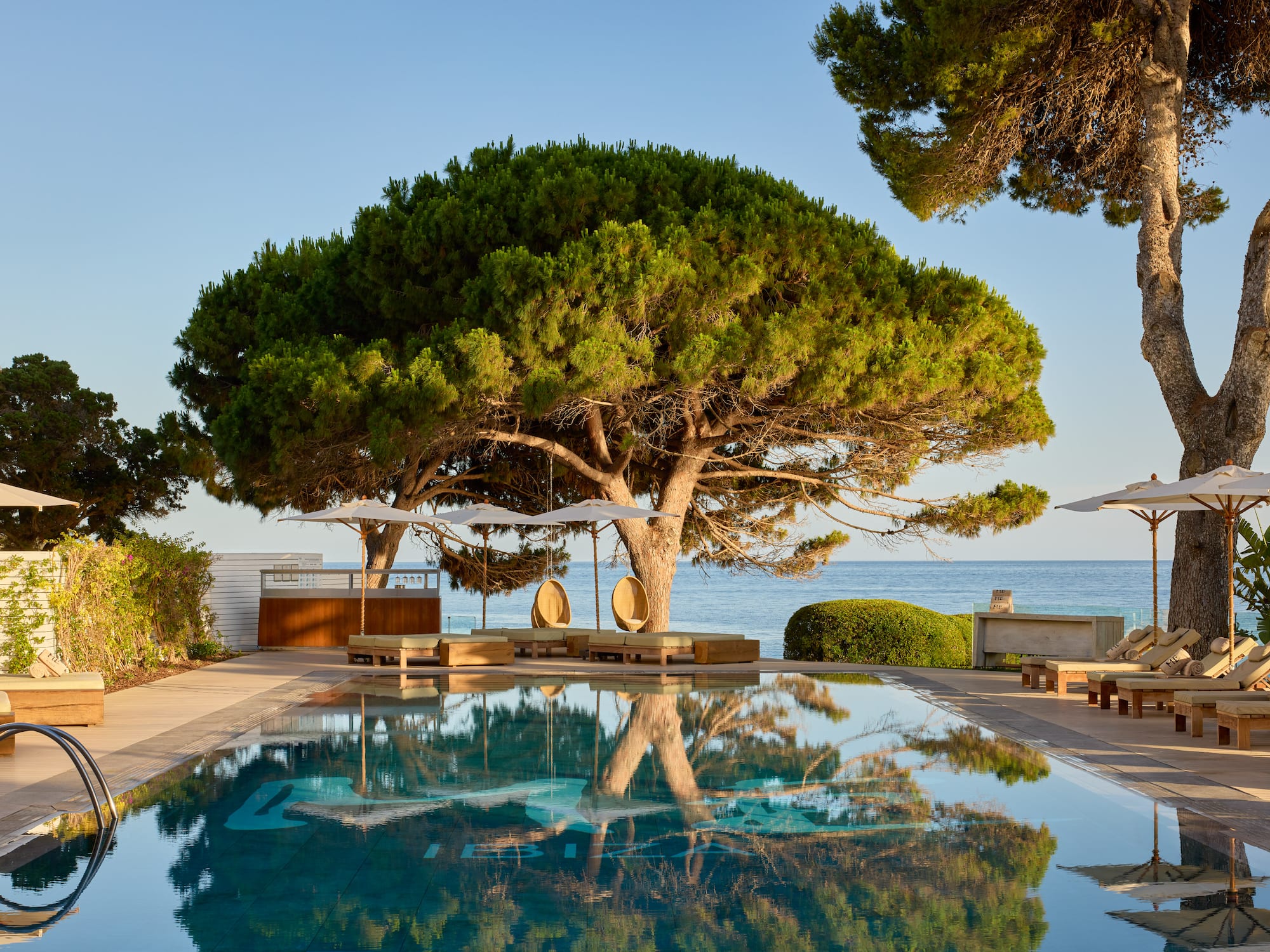 Luxury resort swimming pool, pine trees, ocean view, sun loungers.