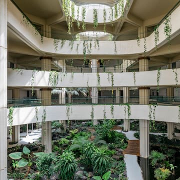 a building with many floors and a courtyard with plants