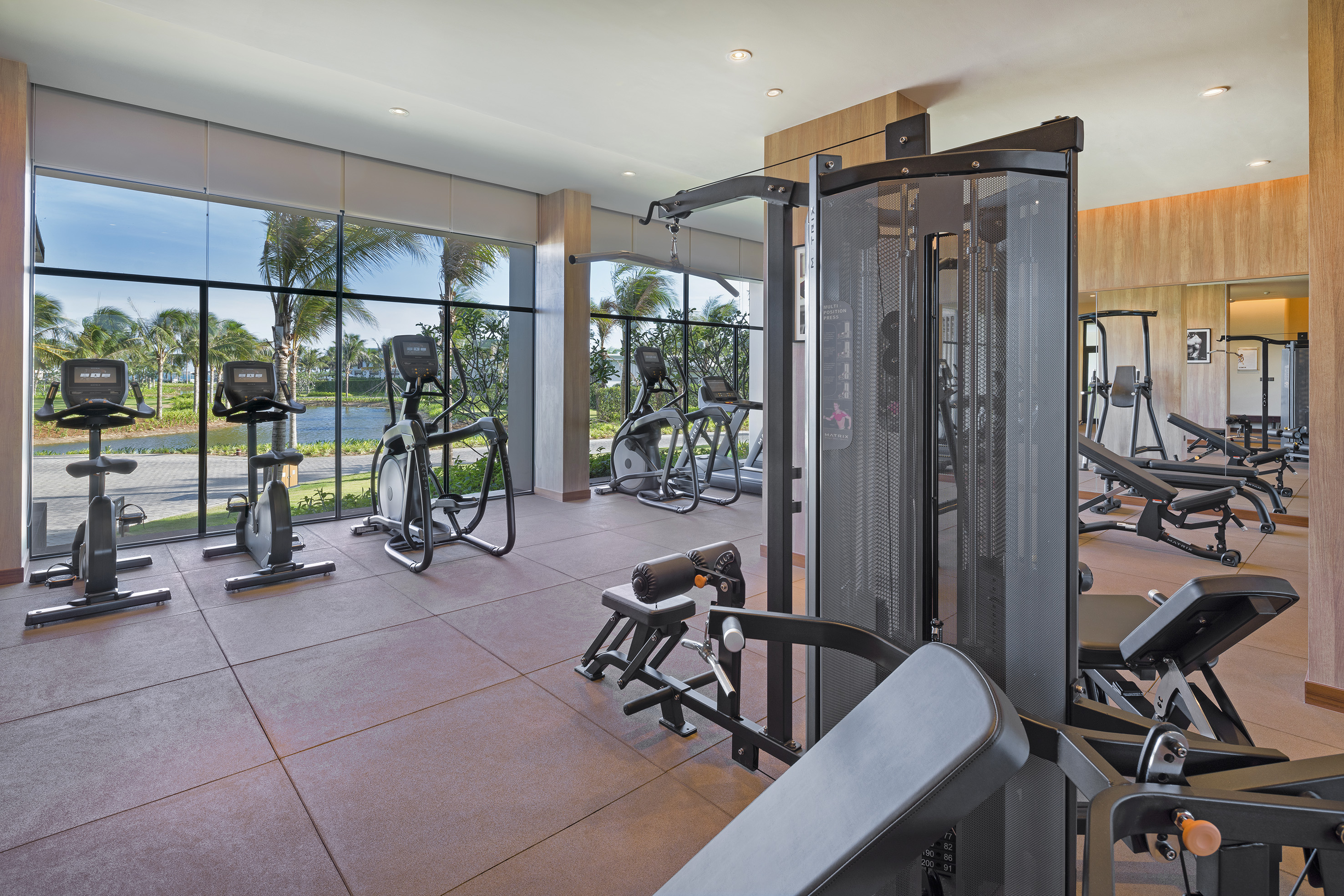 Modern gym with cardio and weight machines overlooking palm trees and water.