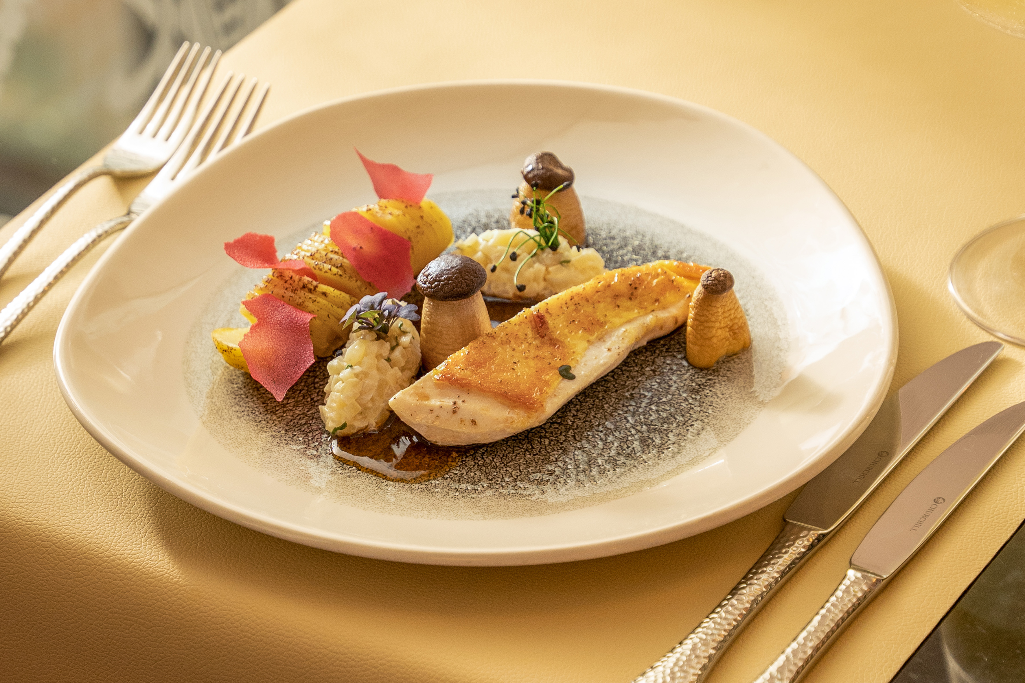 Plated gourmet chicken, sliced potatoes, mushrooms, and creamy side dish.