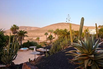 a hot tub surrounded by palm trees