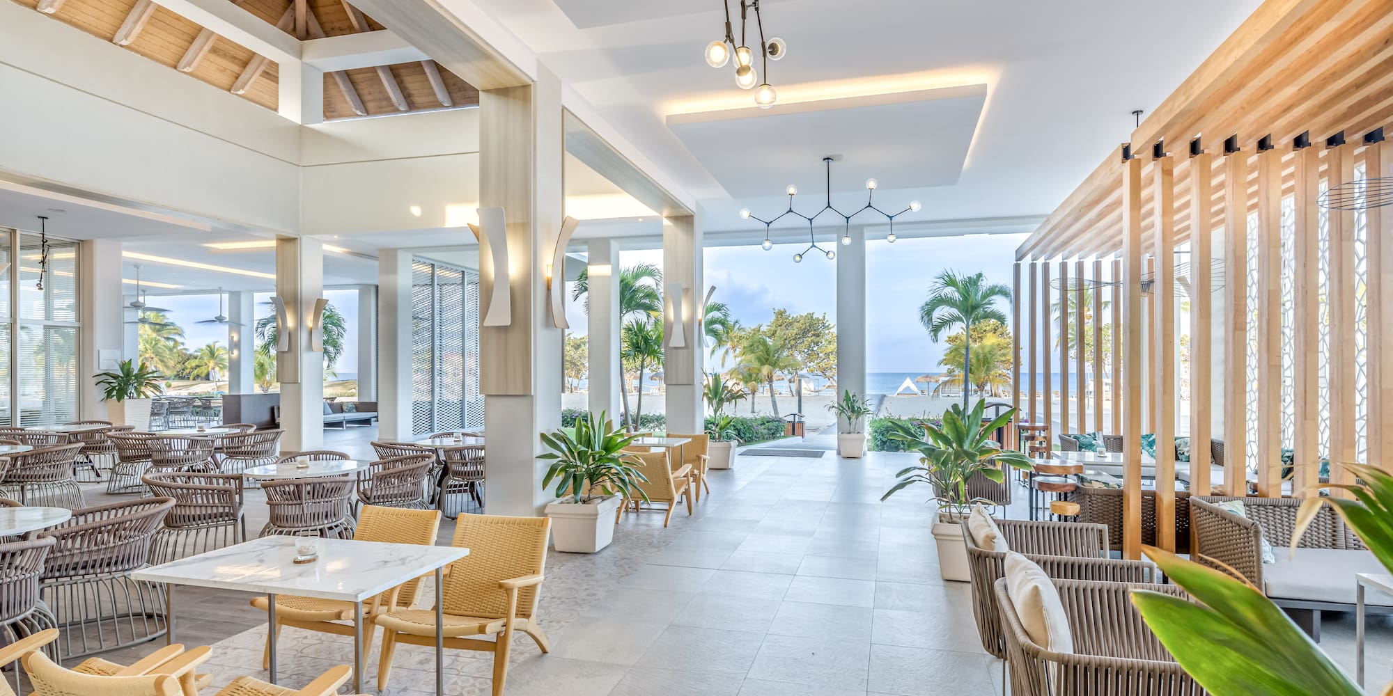 a room with tables and chairs and plants