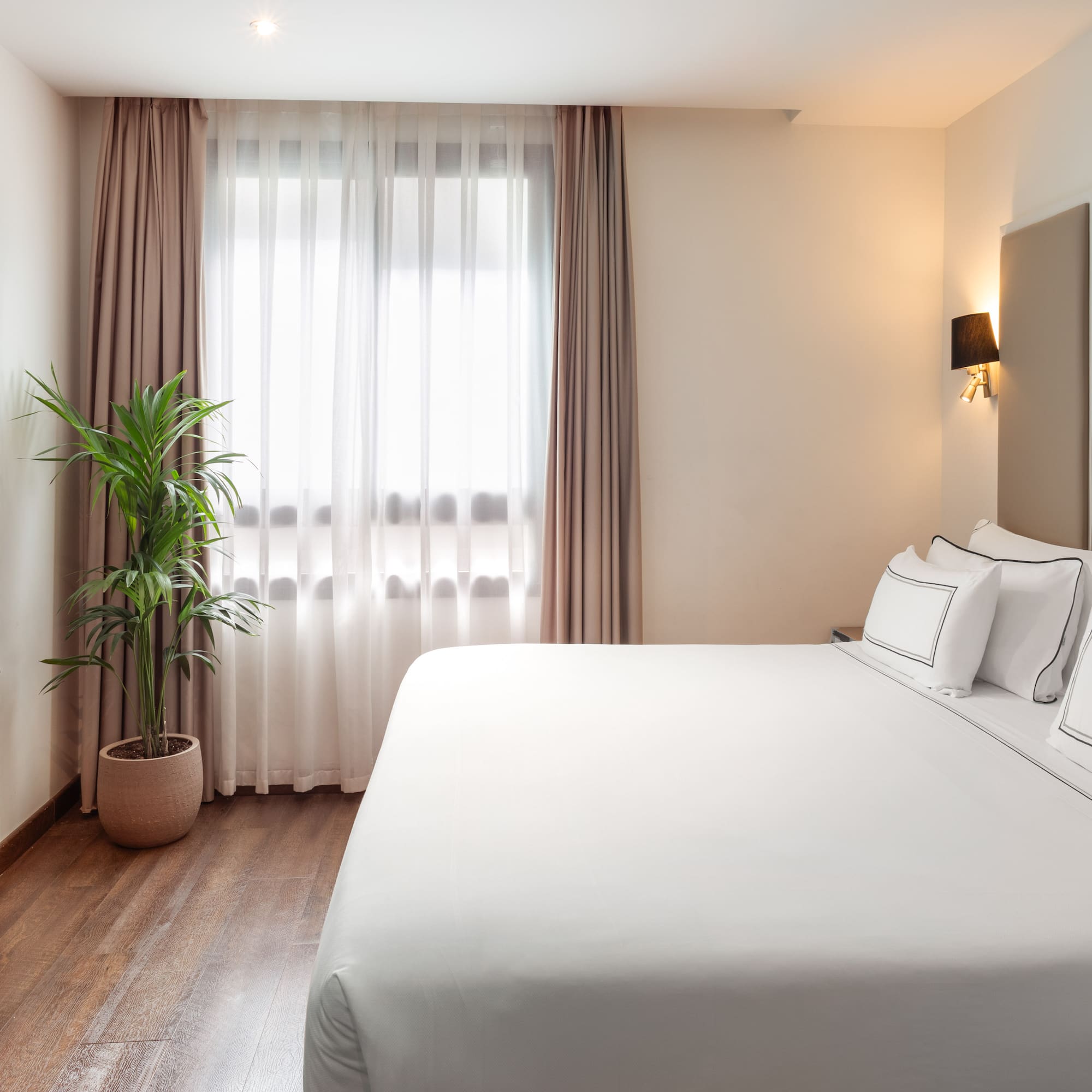 Modern hotel bedroom with white bed, large window, TV, and potted plant.
