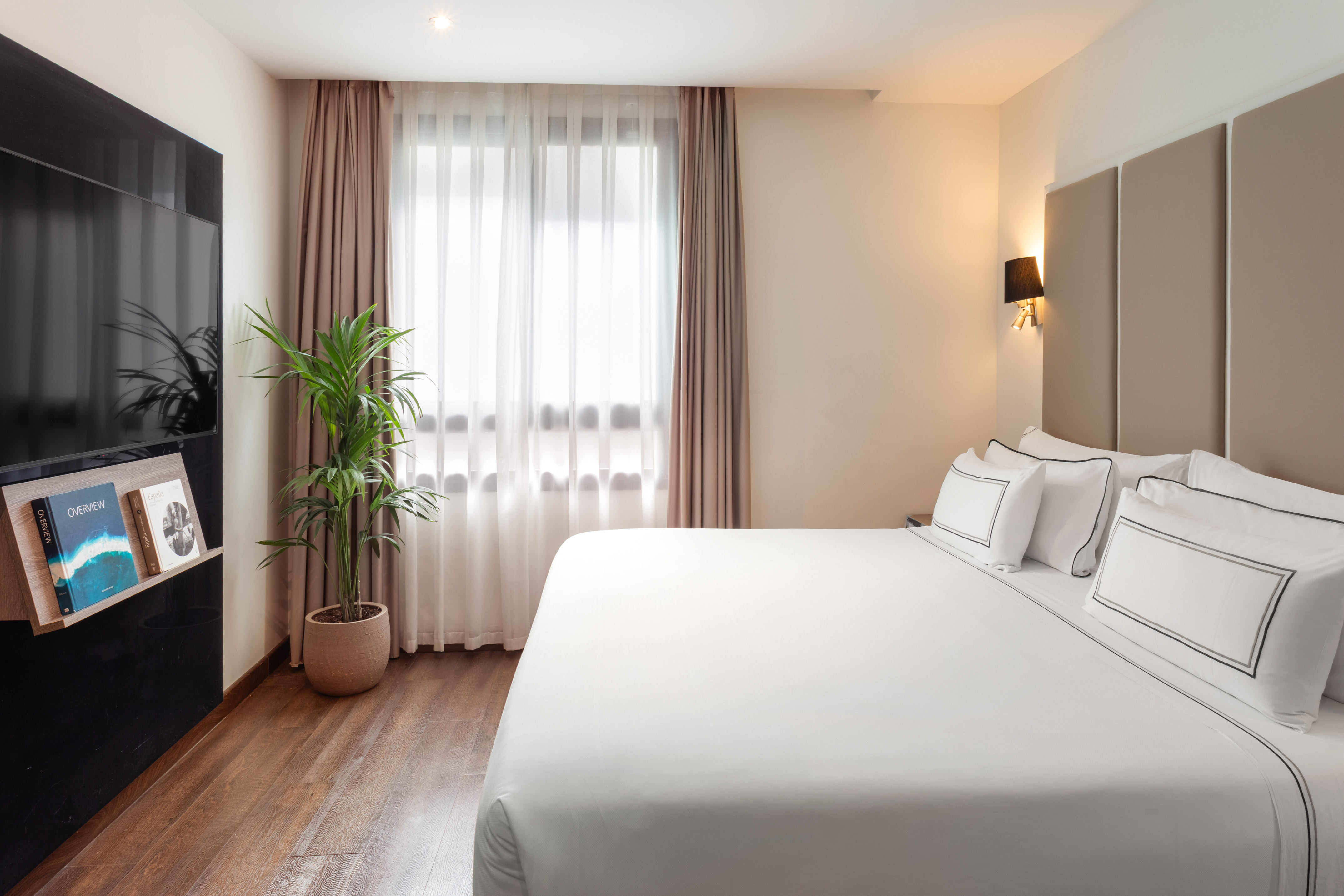 Modern hotel bedroom with white bed, large window, TV, and potted plant.
