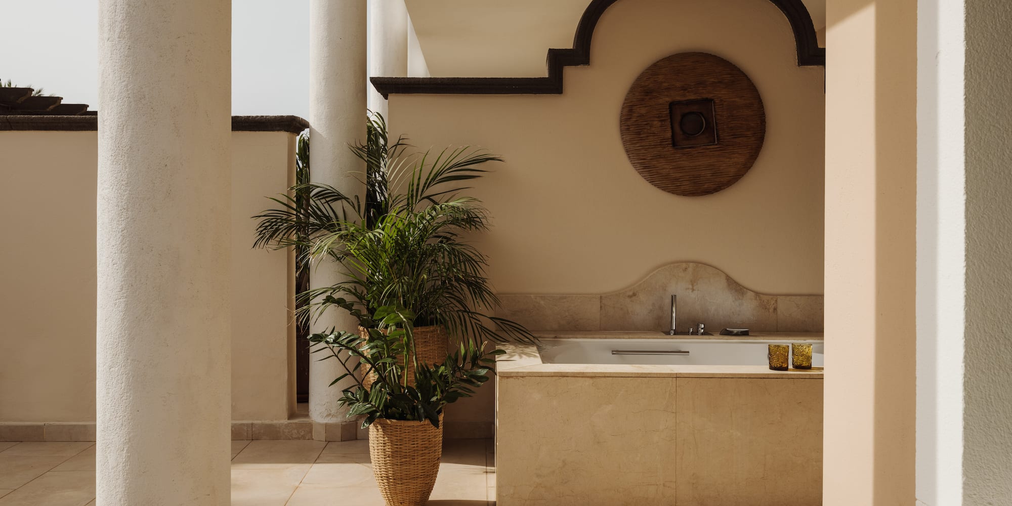 a bathtub and potted plant in a room