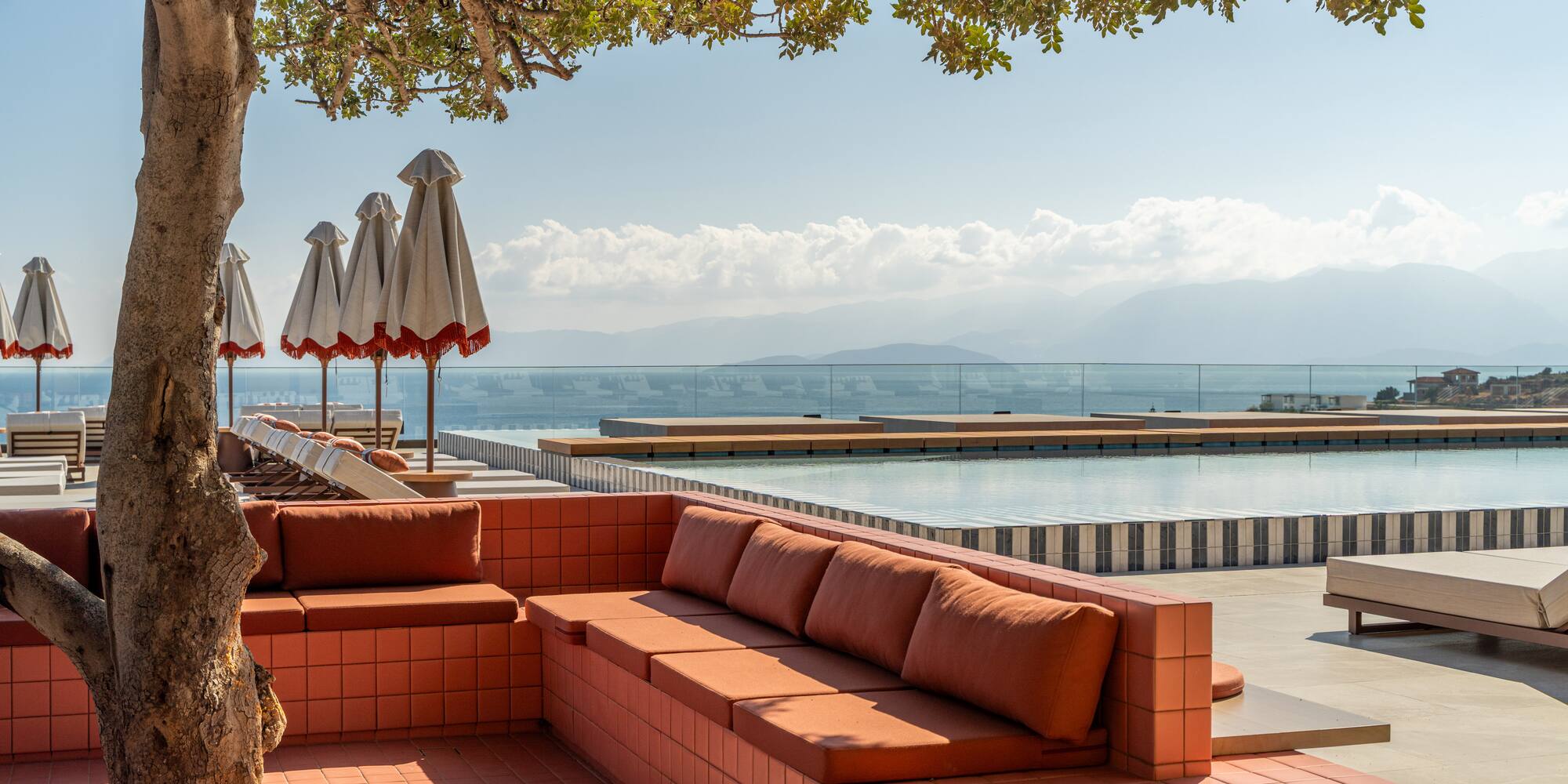 a pool with a tree and a couch
