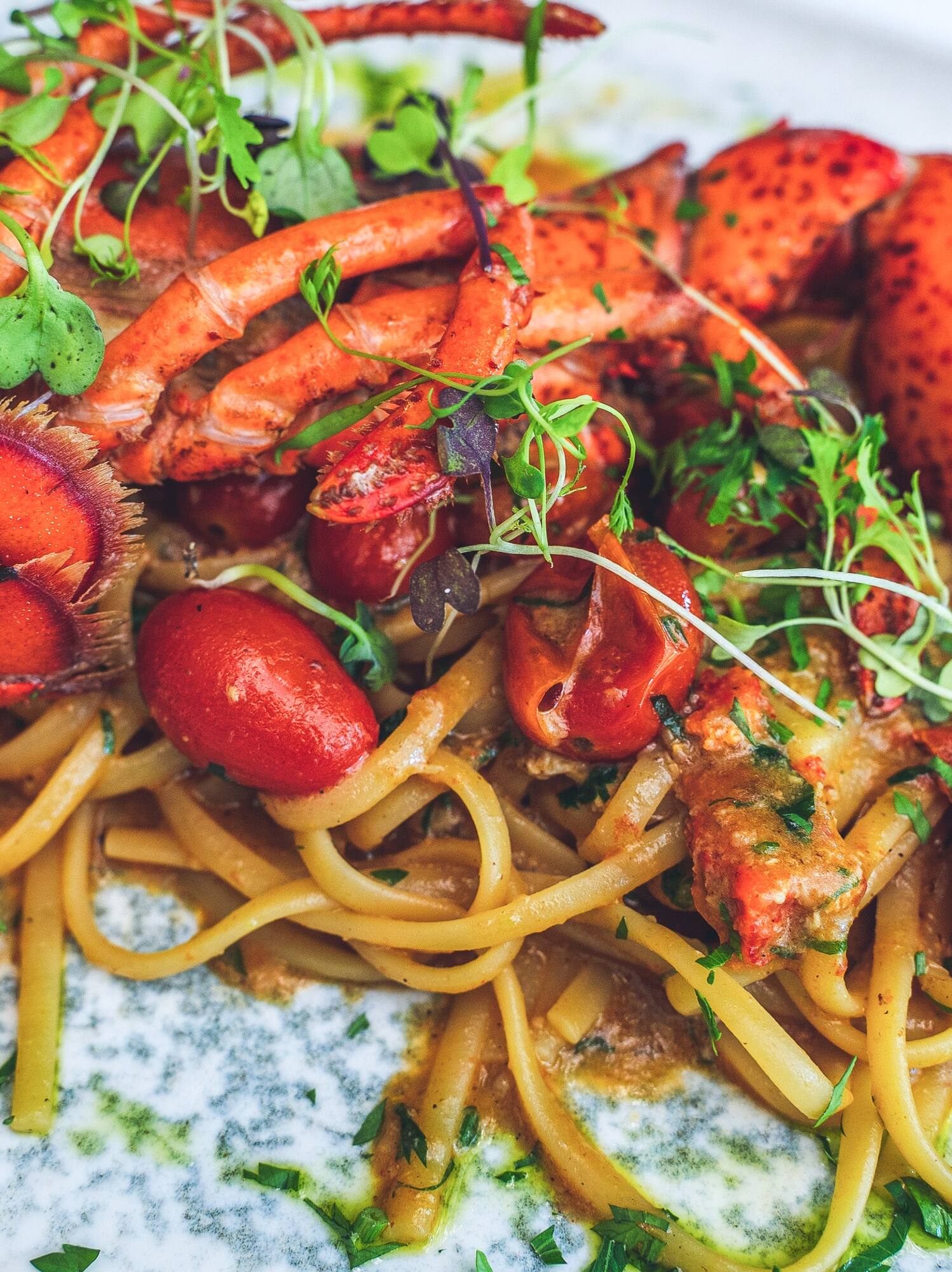 a plate of food on a white surface