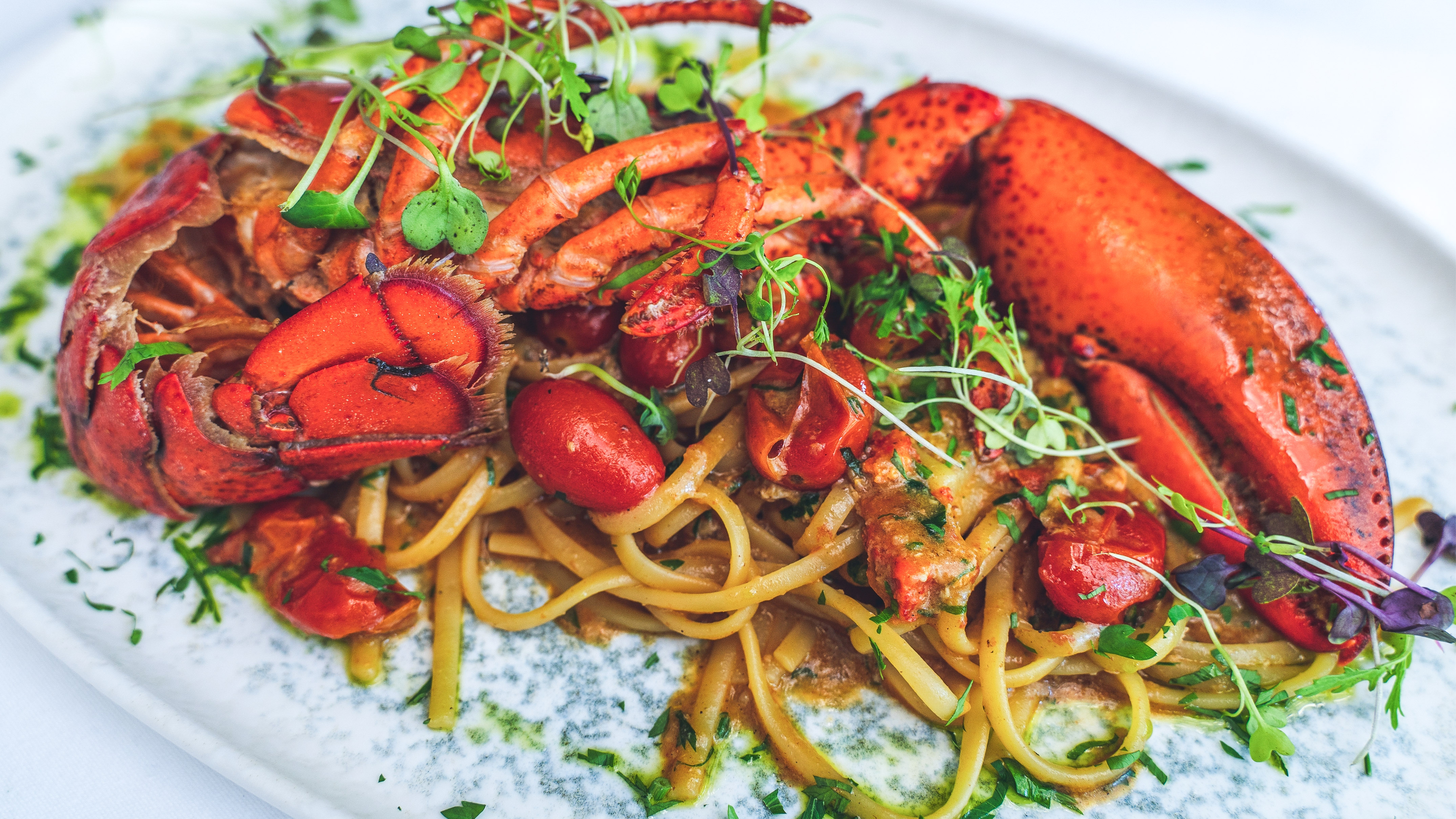 a plate of food on a white surface