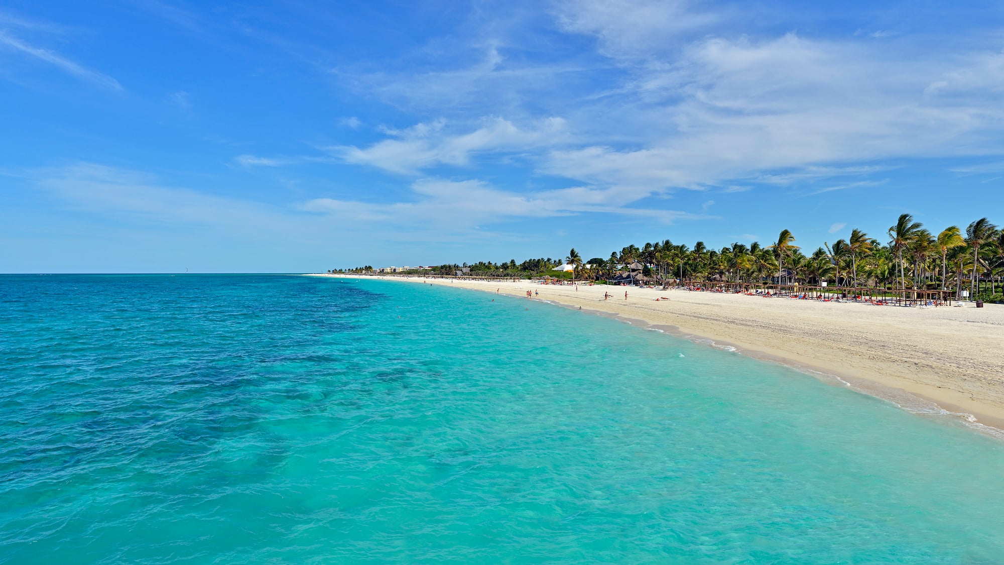 a beach with palm trees and blue water