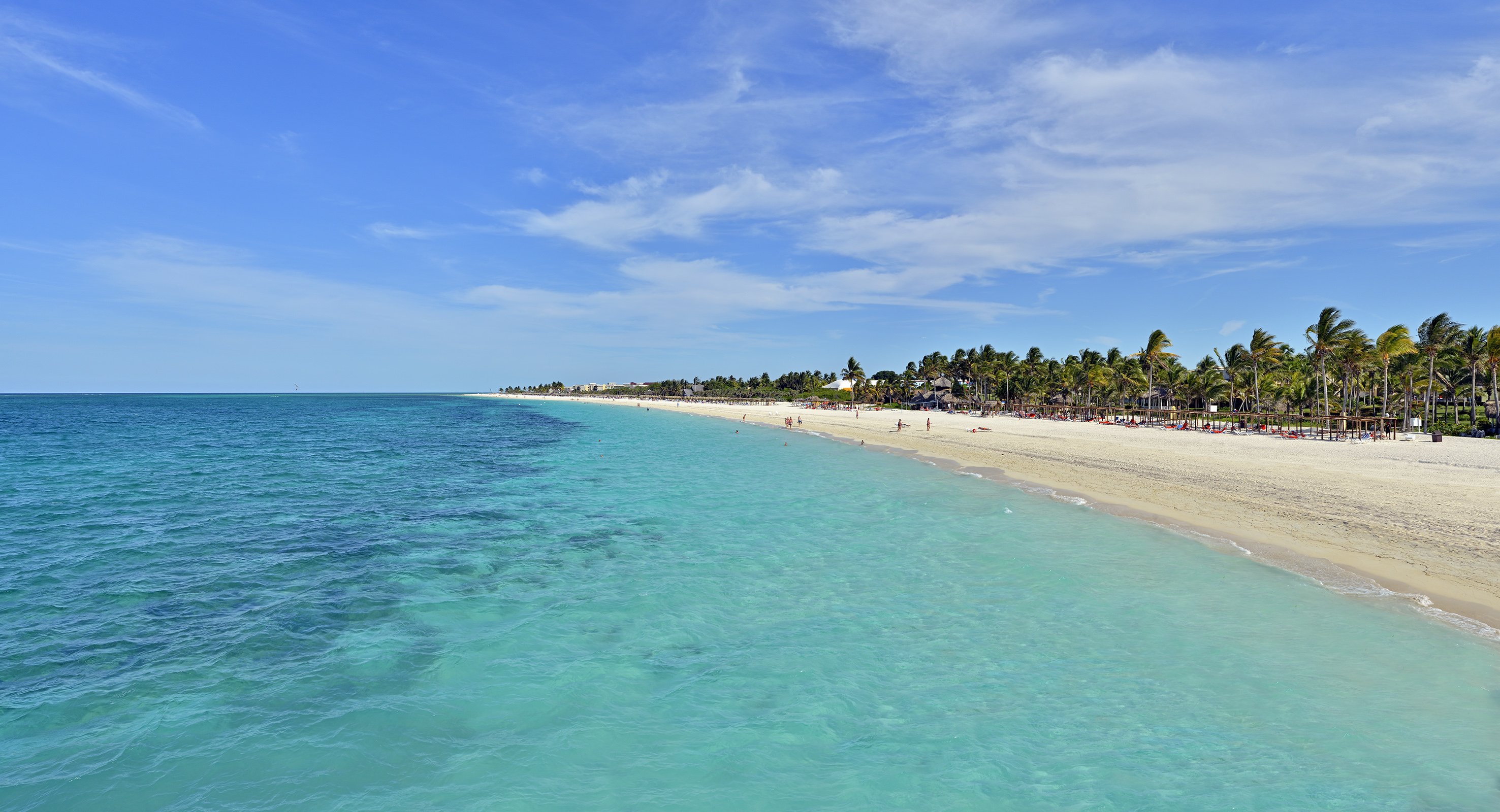 a beach with palm trees and blue water