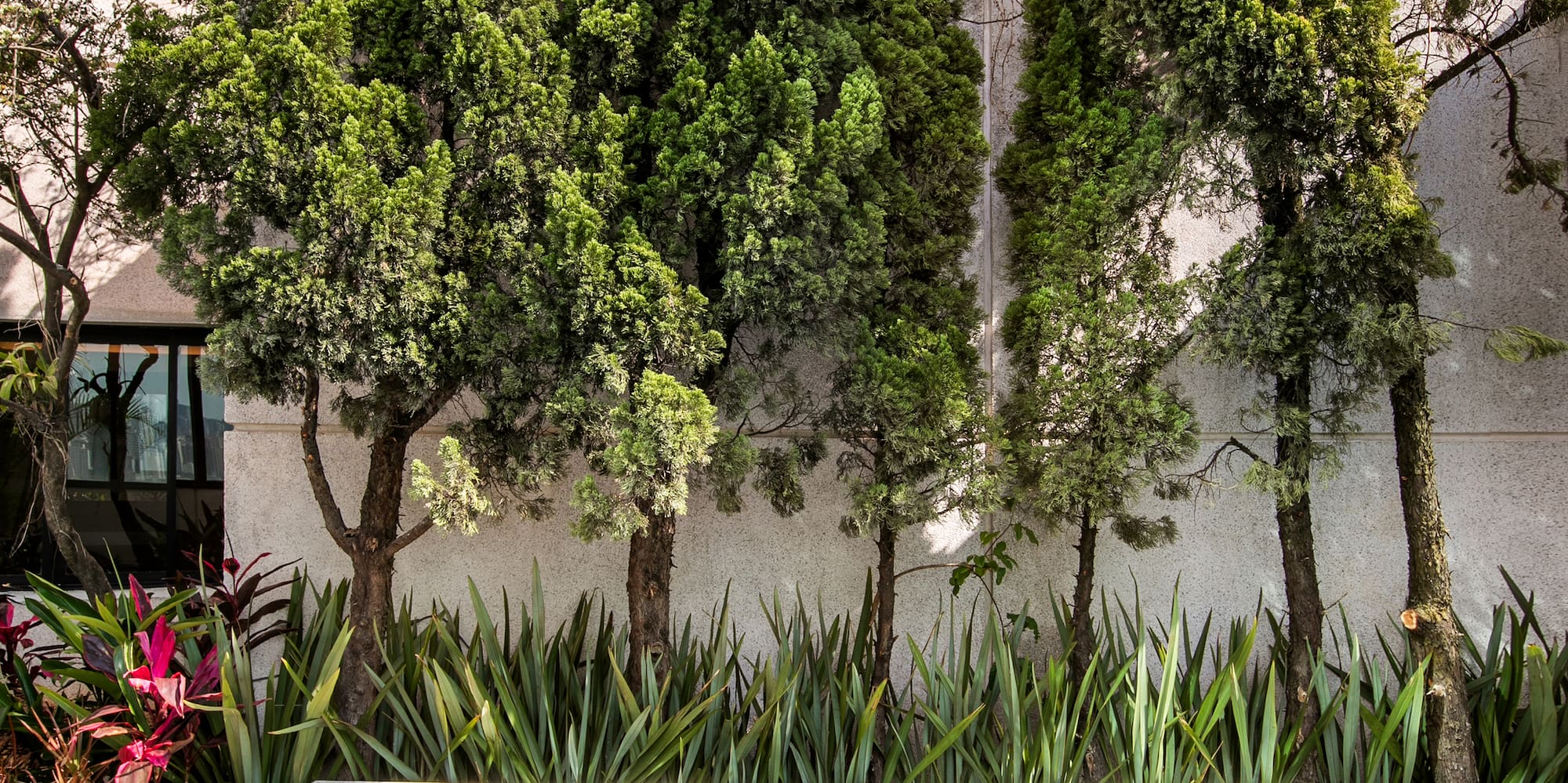 a white couch and table in a courtyard