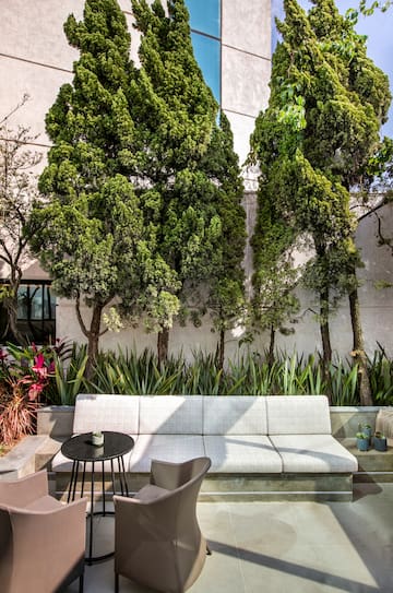 Modern outdoor lounge with grey sofa, chairs, table, and tall green trees.