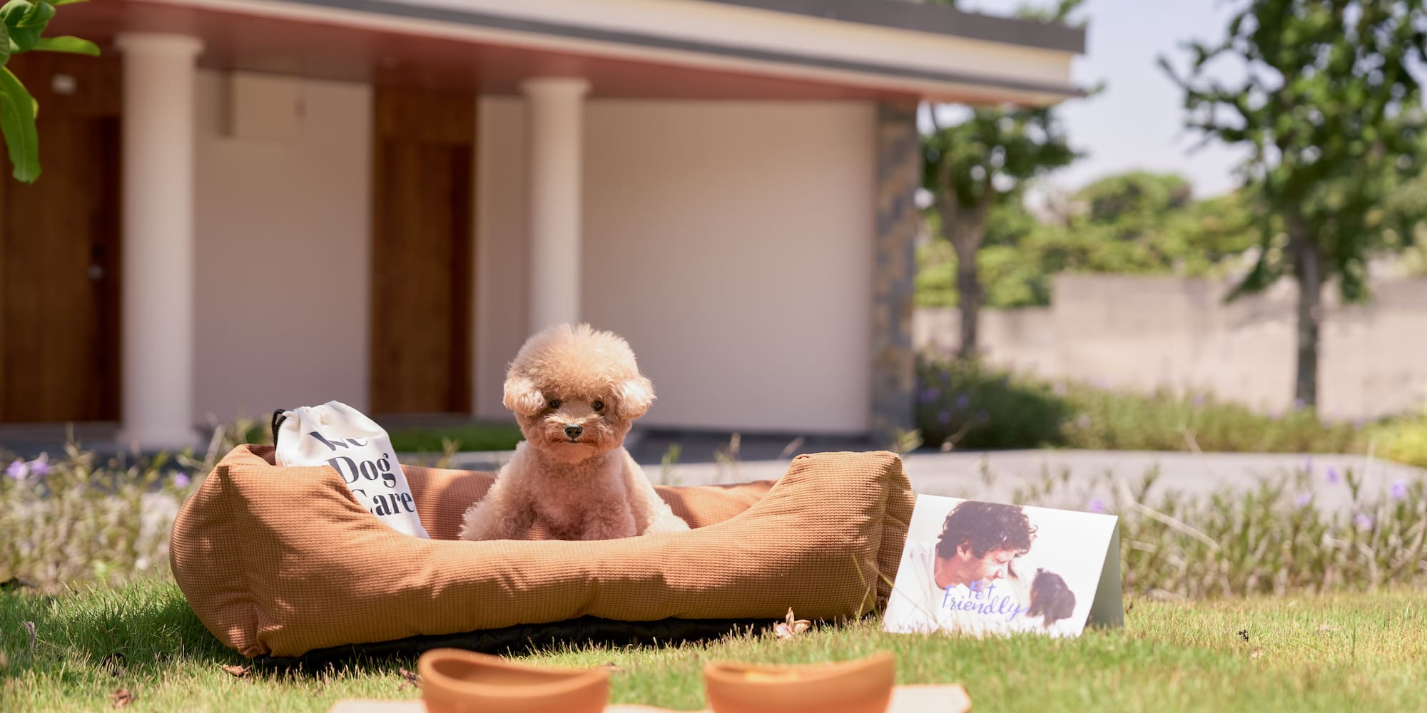 Apricot poodle dog in bed on grass with pet-friendly card and bowls.