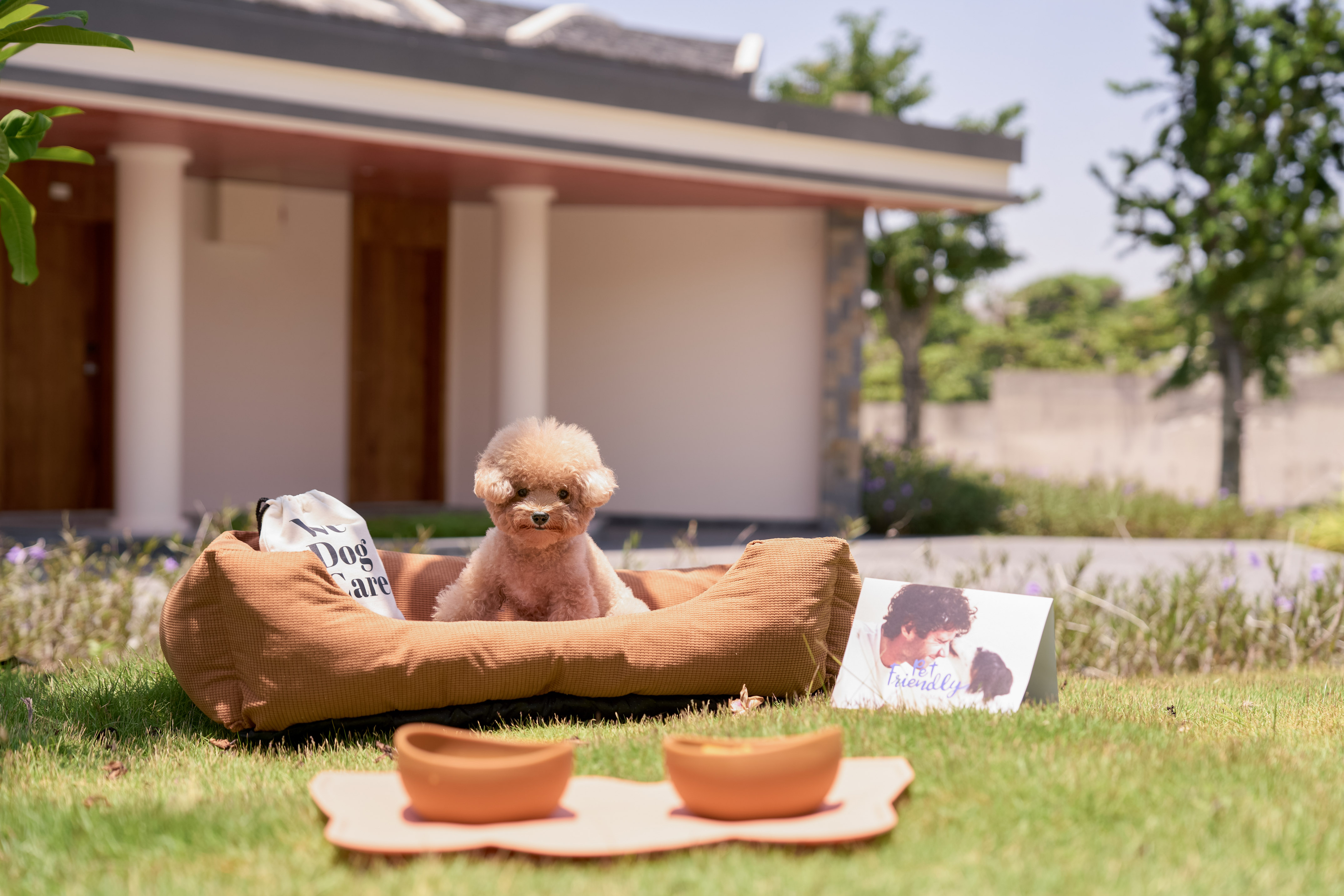 Apricot poodle dog in bed on grass with pet-friendly card and bowls.