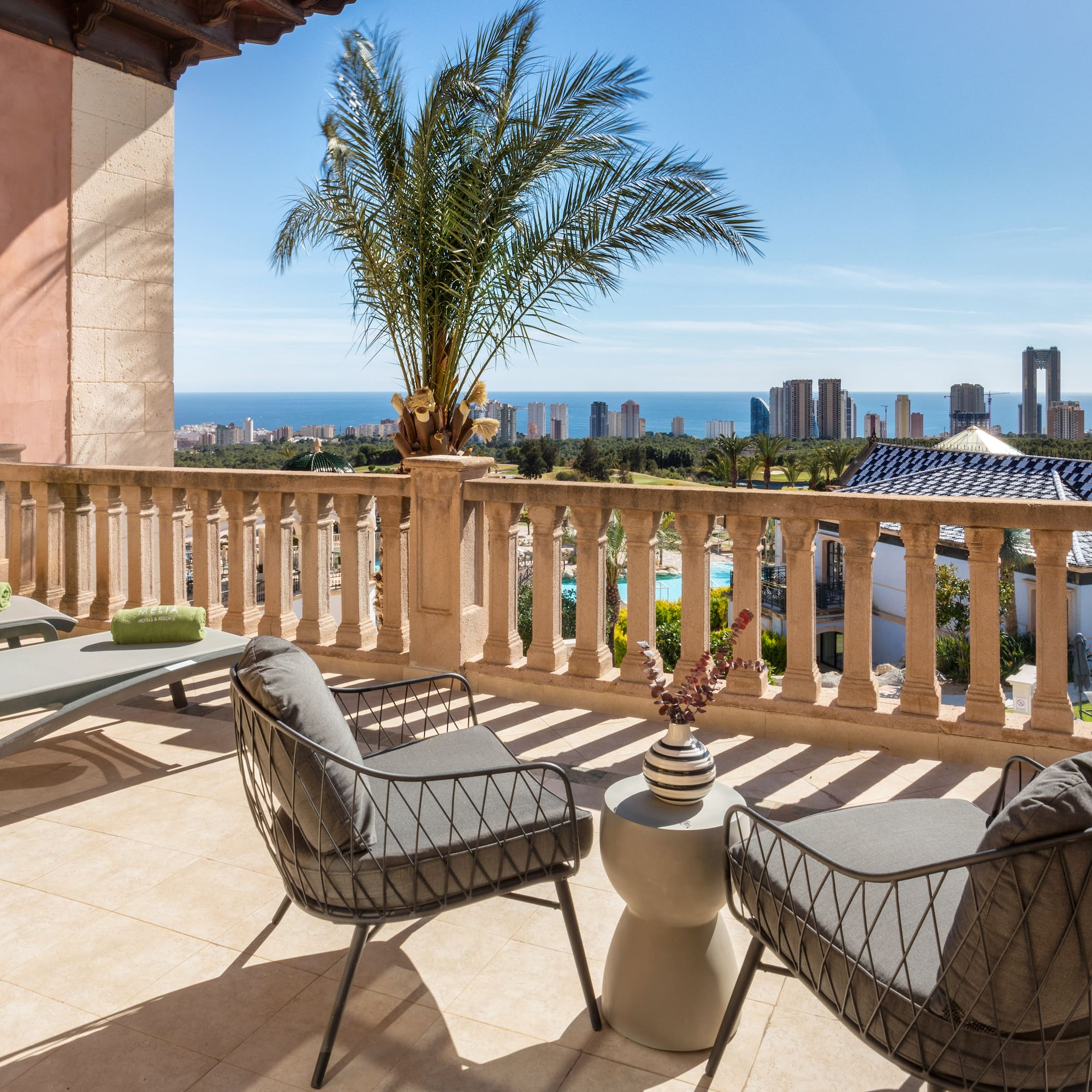 a patio with chairs and a palm tree