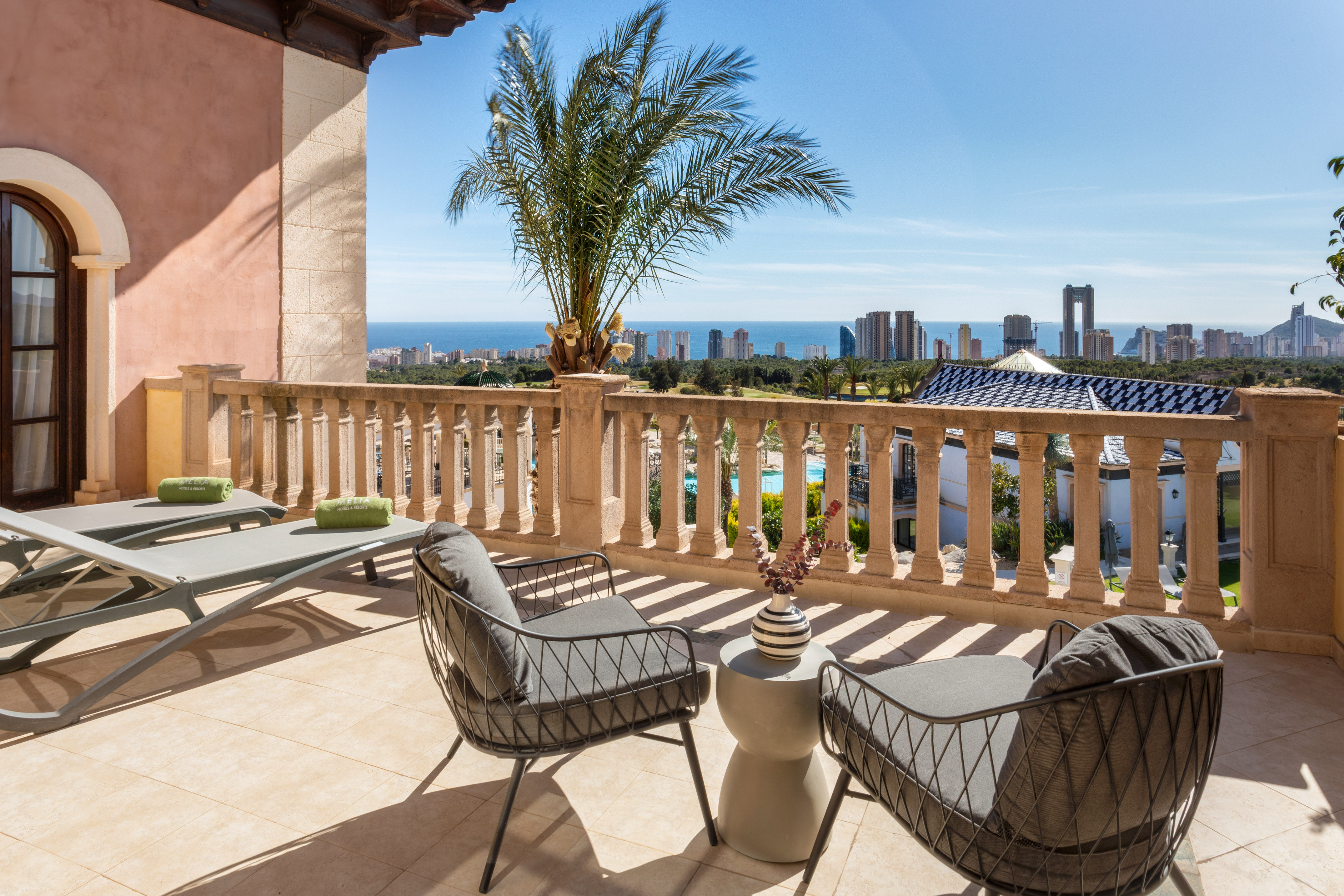 a patio with chairs and a palm tree