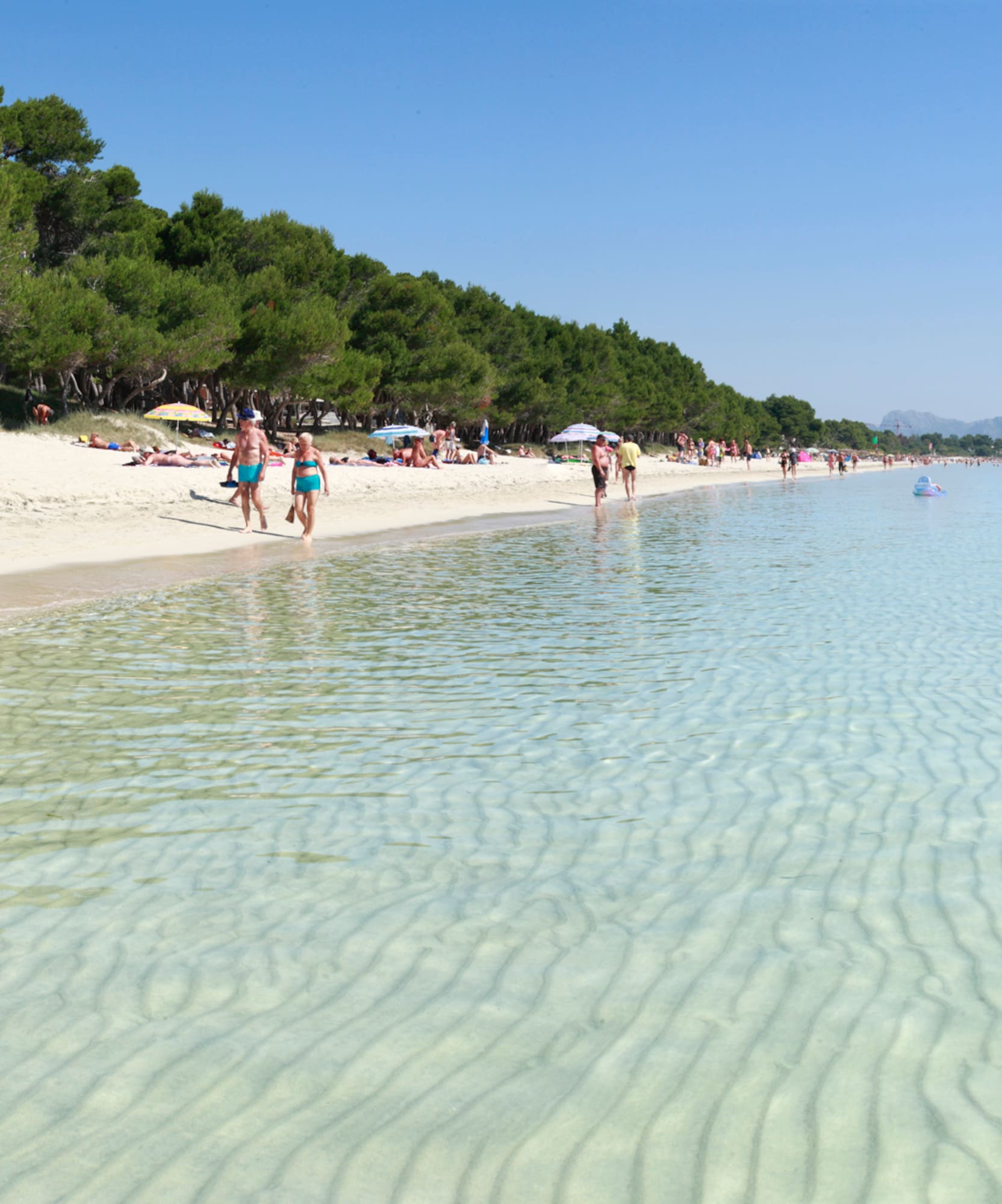 people on a beach
