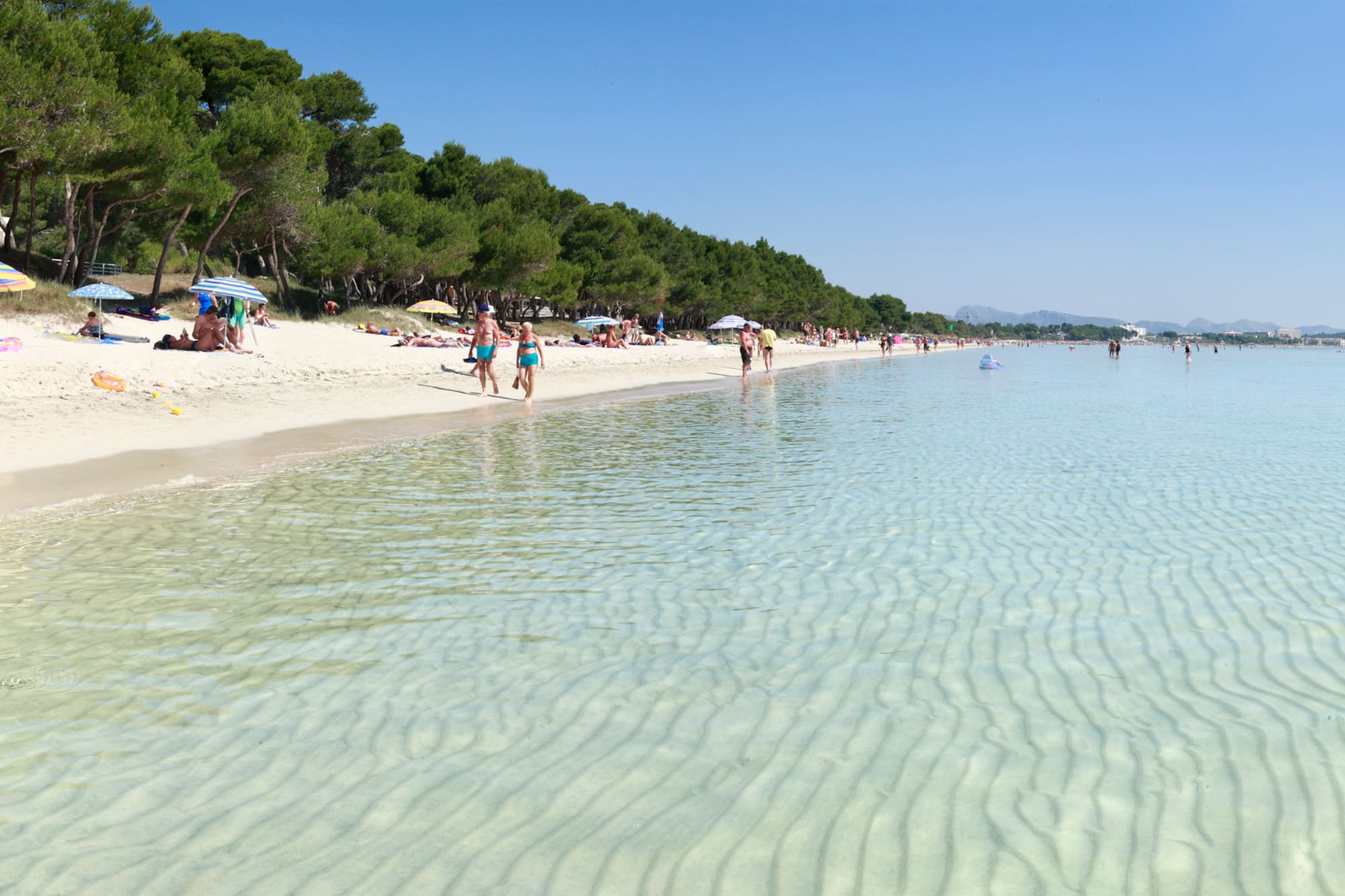 people on a beach