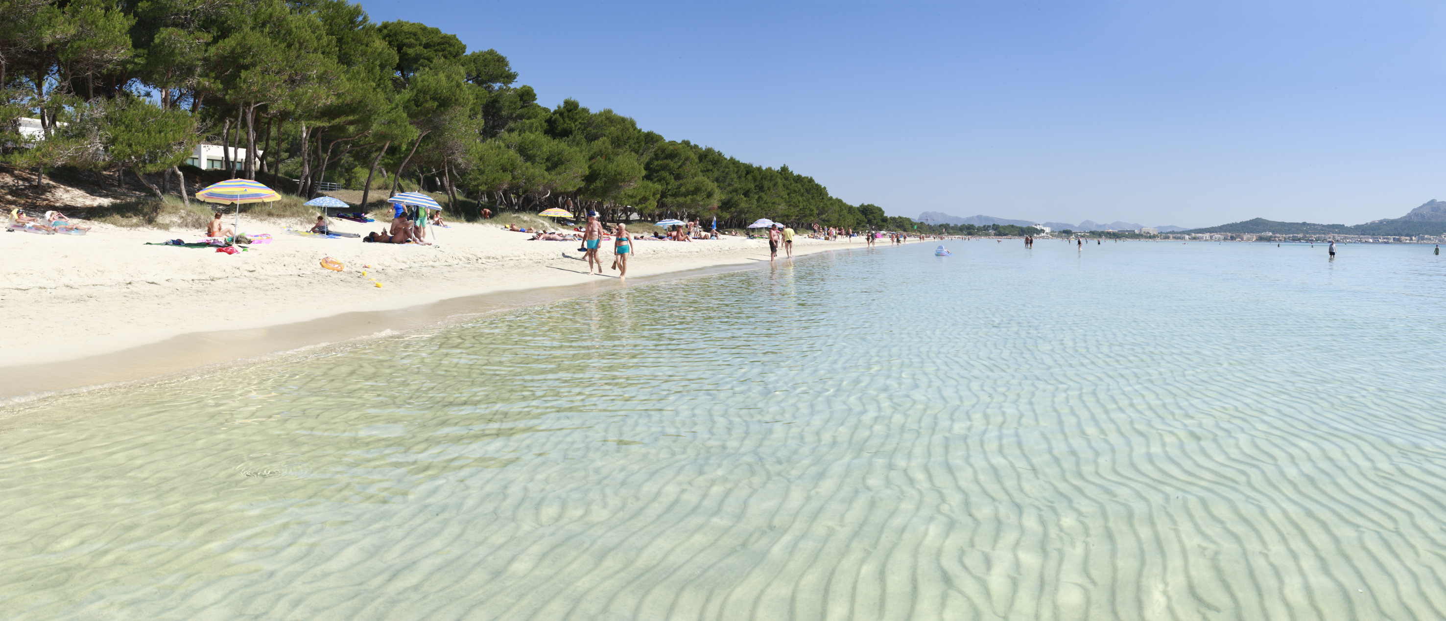 people on a beach