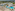 Luxury beach resort with pools, sandy beach, and tropical palm trees.